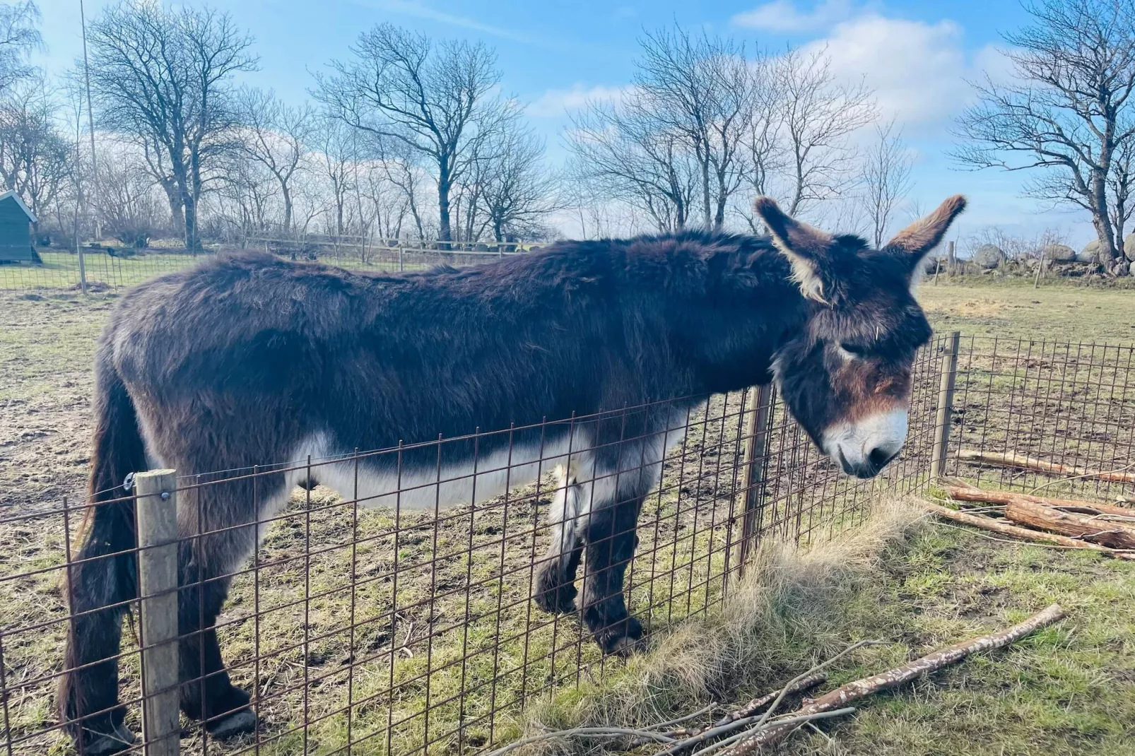 4 Personen vakantie huis in TOMELILLA