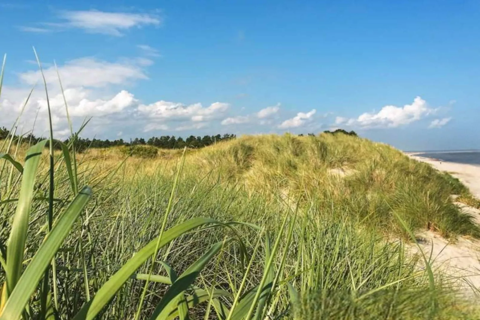 Gerenoveerd huisje in Bratten - bij Traum - Buitenlucht