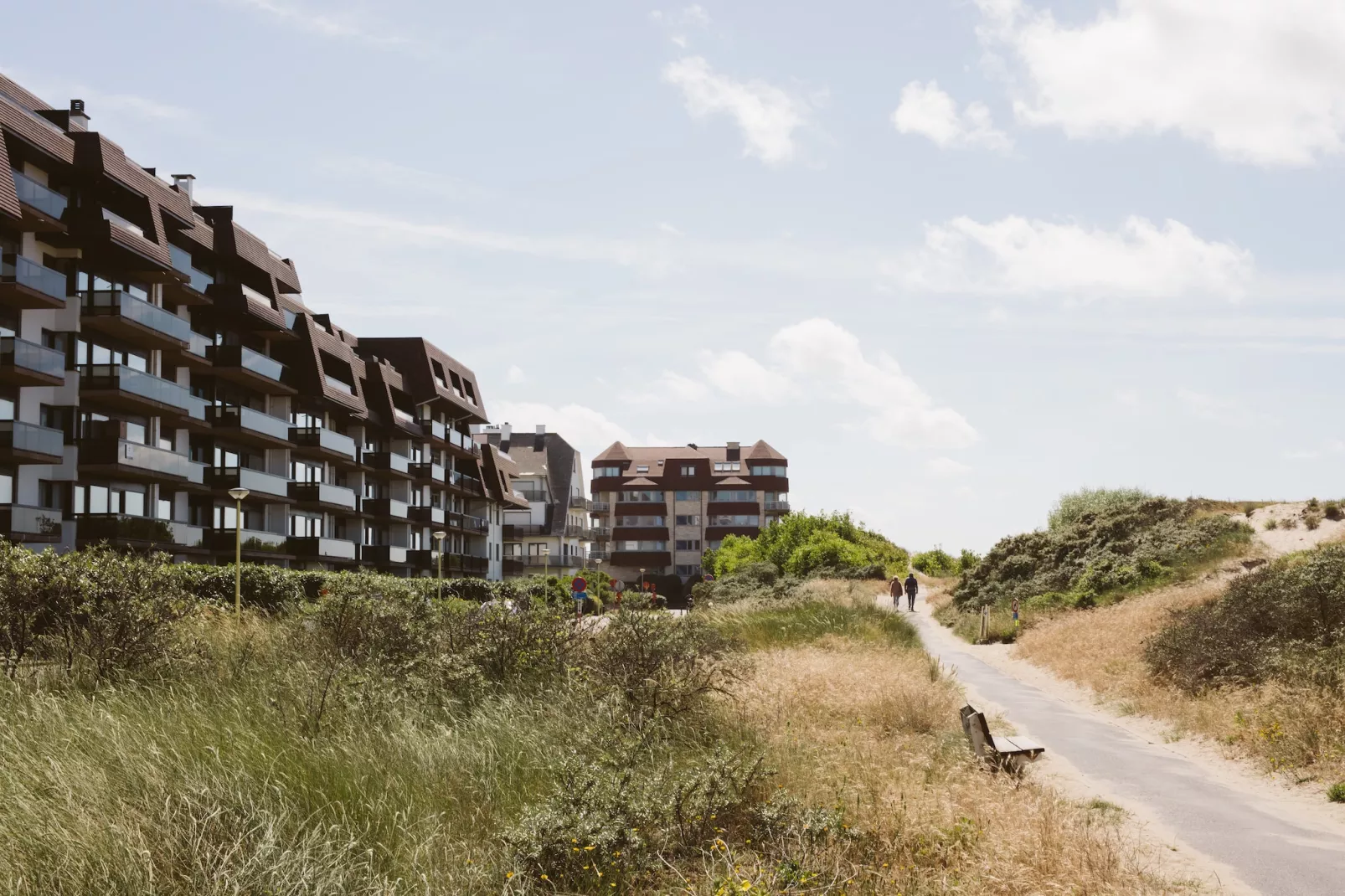 PLAZA A2/2011 - Gebieden zomer 1km