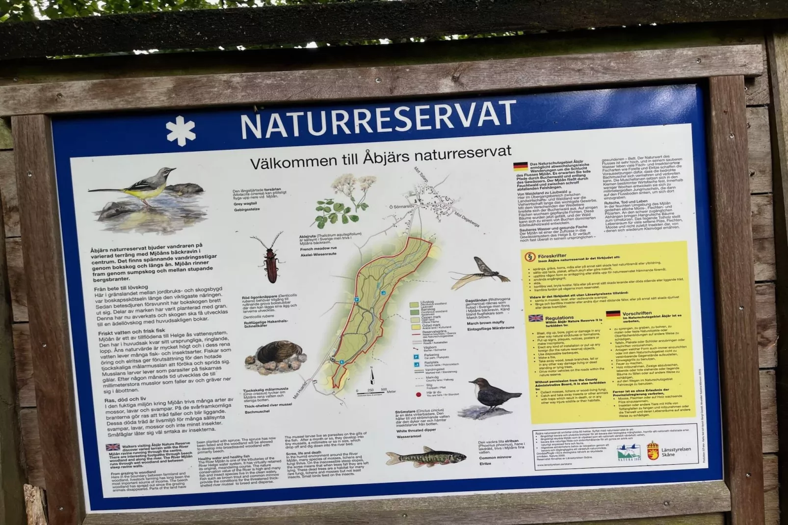 4 sterren vakantie huis in YNGSJÖ, SVERIGE - Buitenlucht