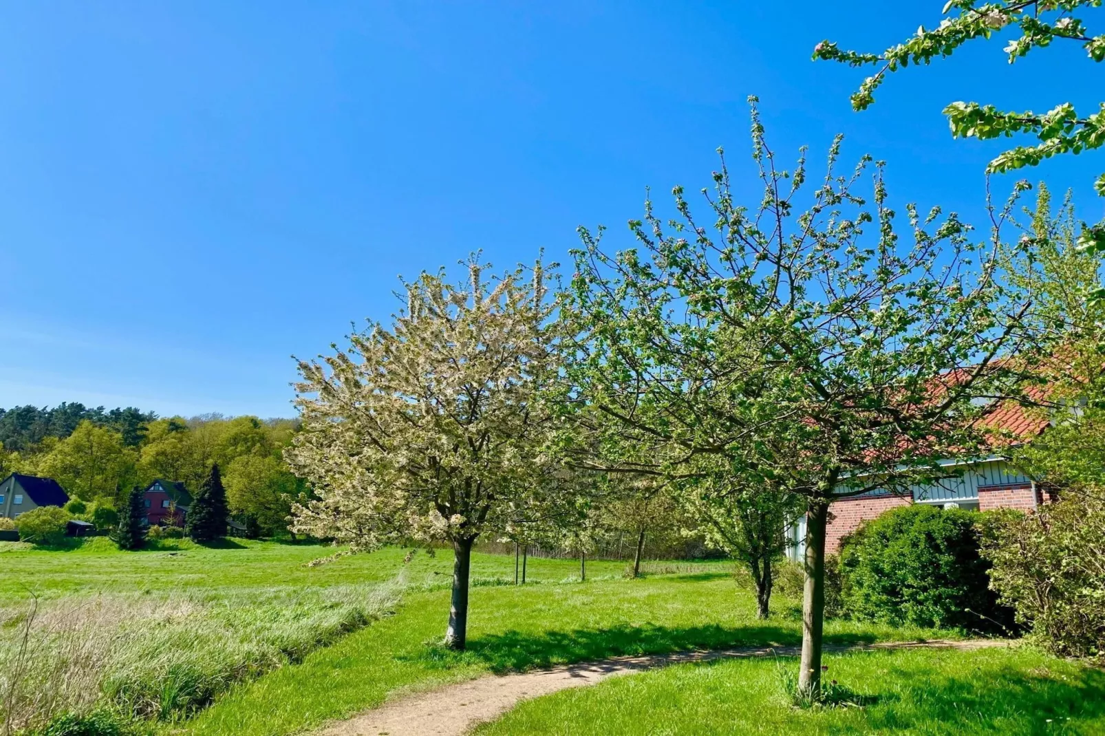 Müritzzeit - Tuinen zomer