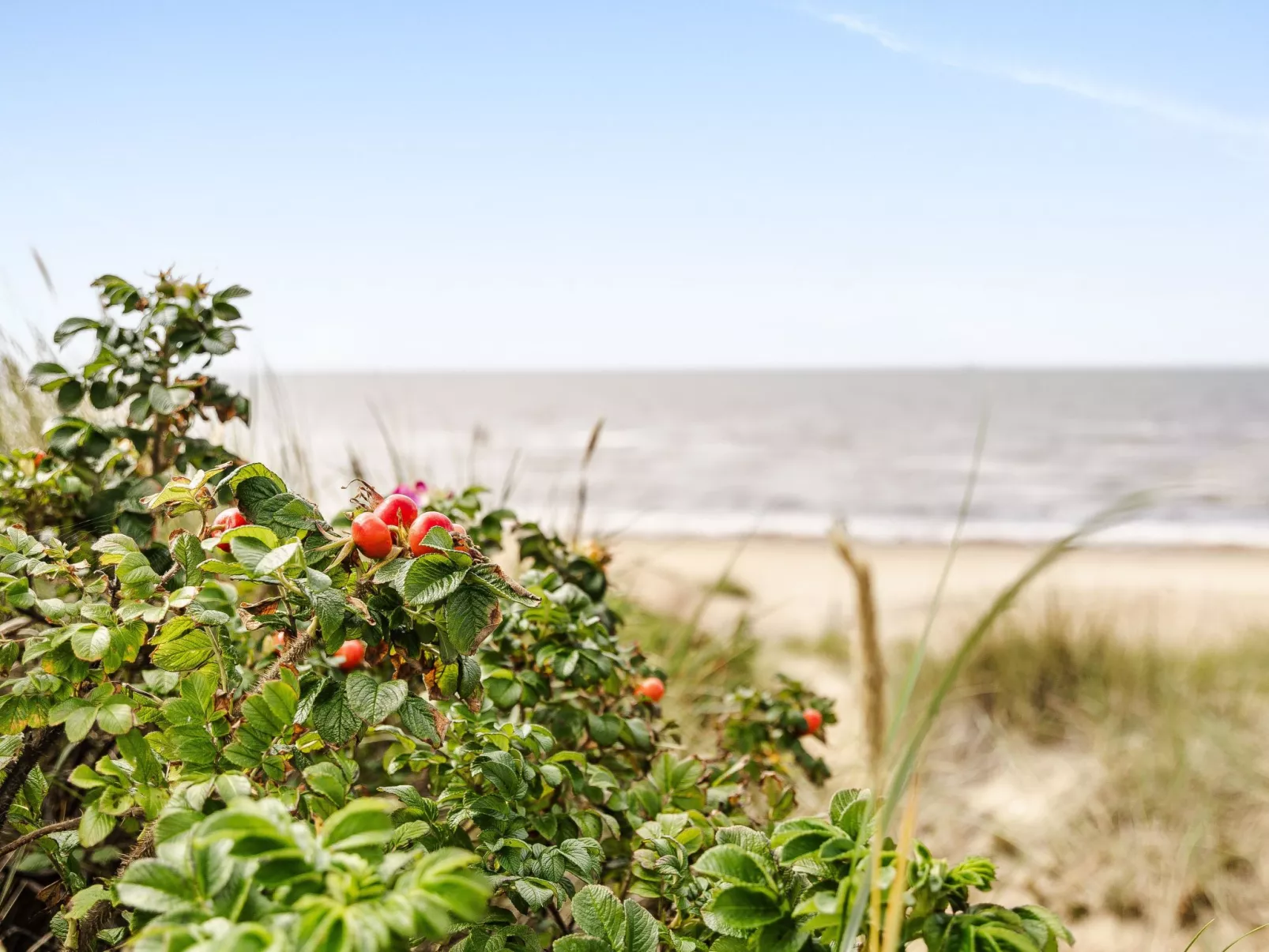 Vårhemsplatsen - Buiten