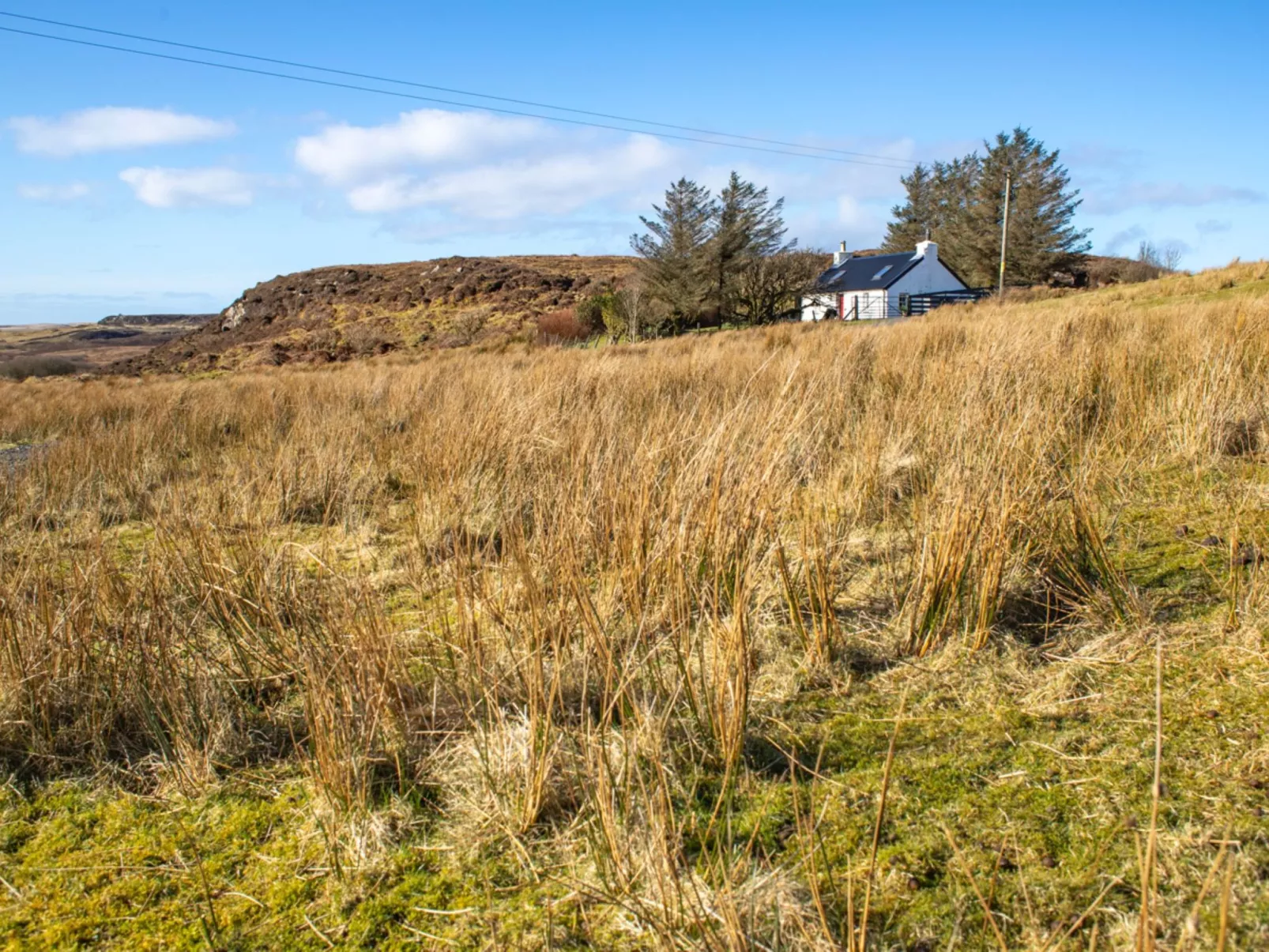 The Cottage - Buiten