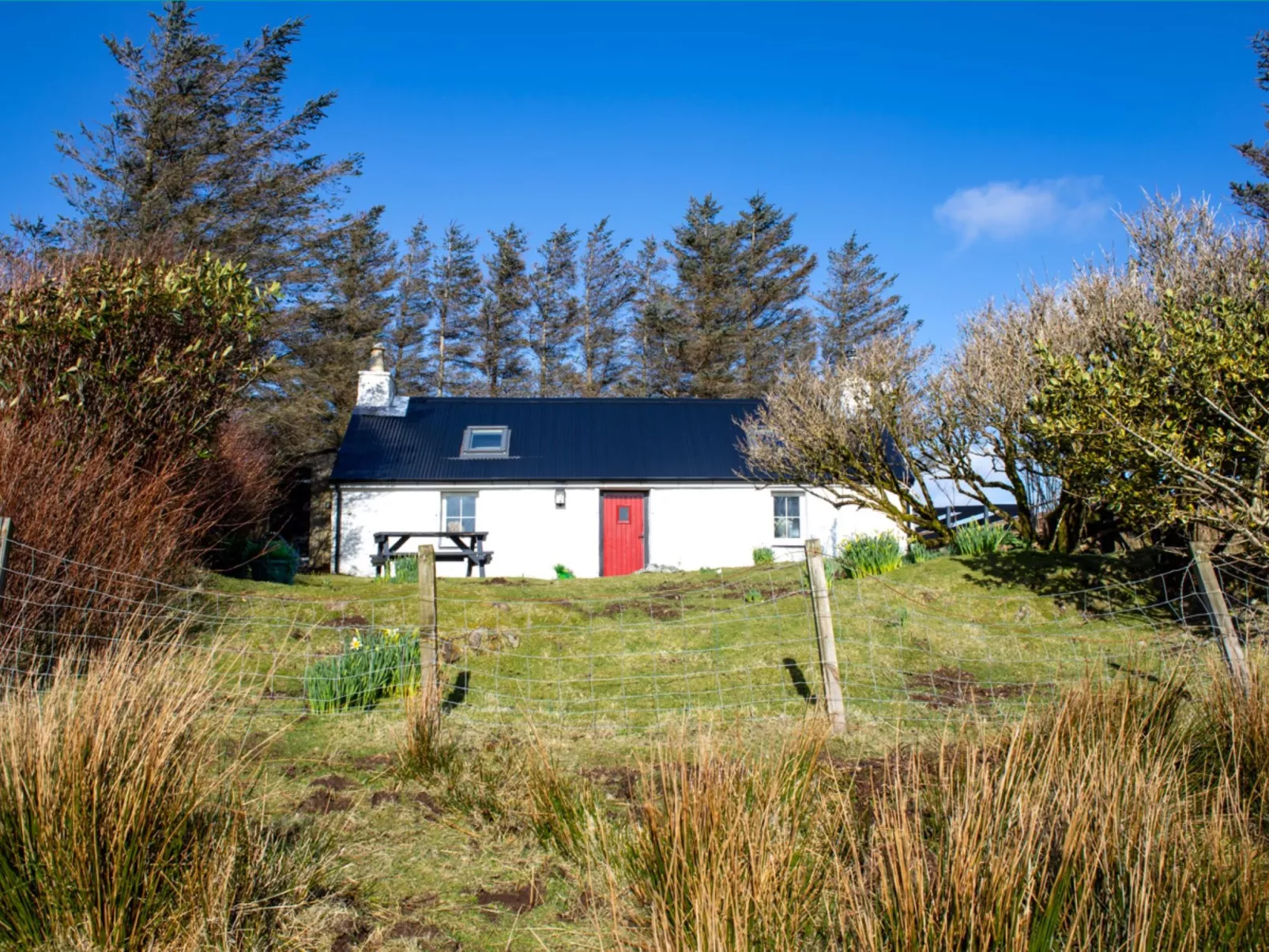 The Cottage - Buiten