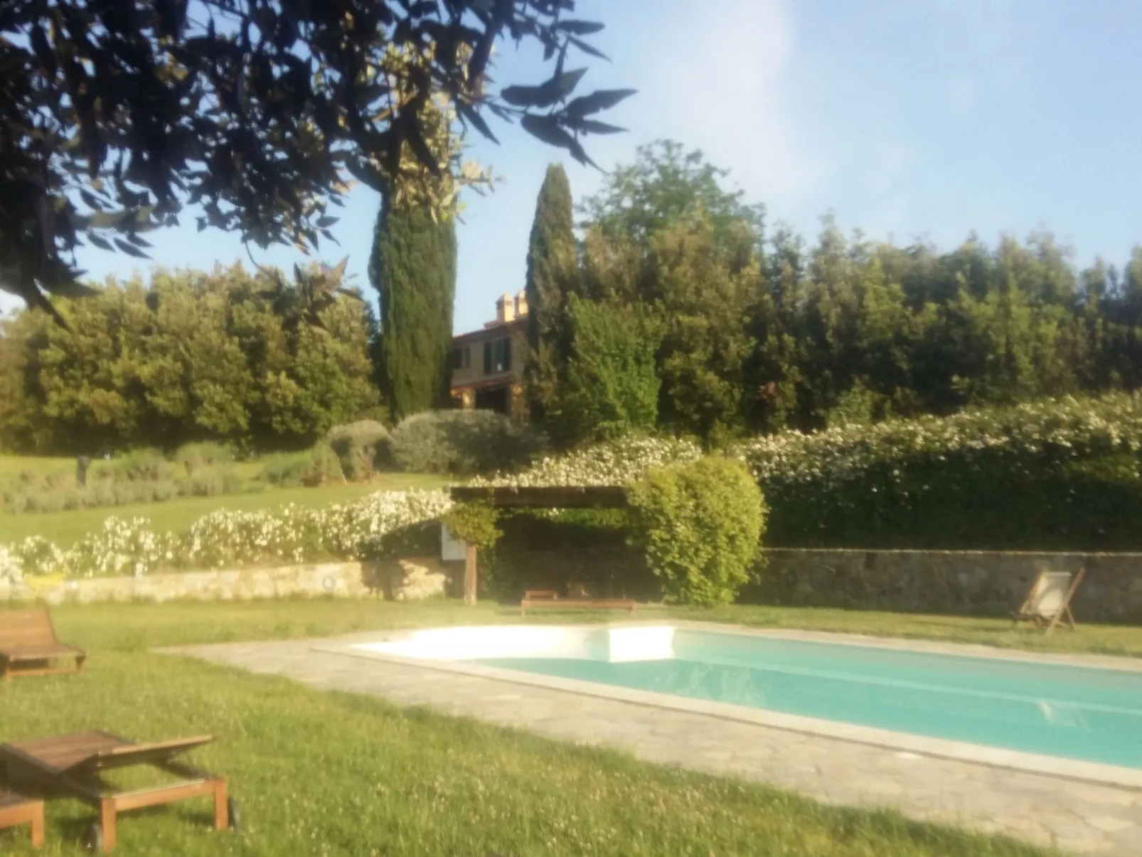 Haus mit Gartenblick