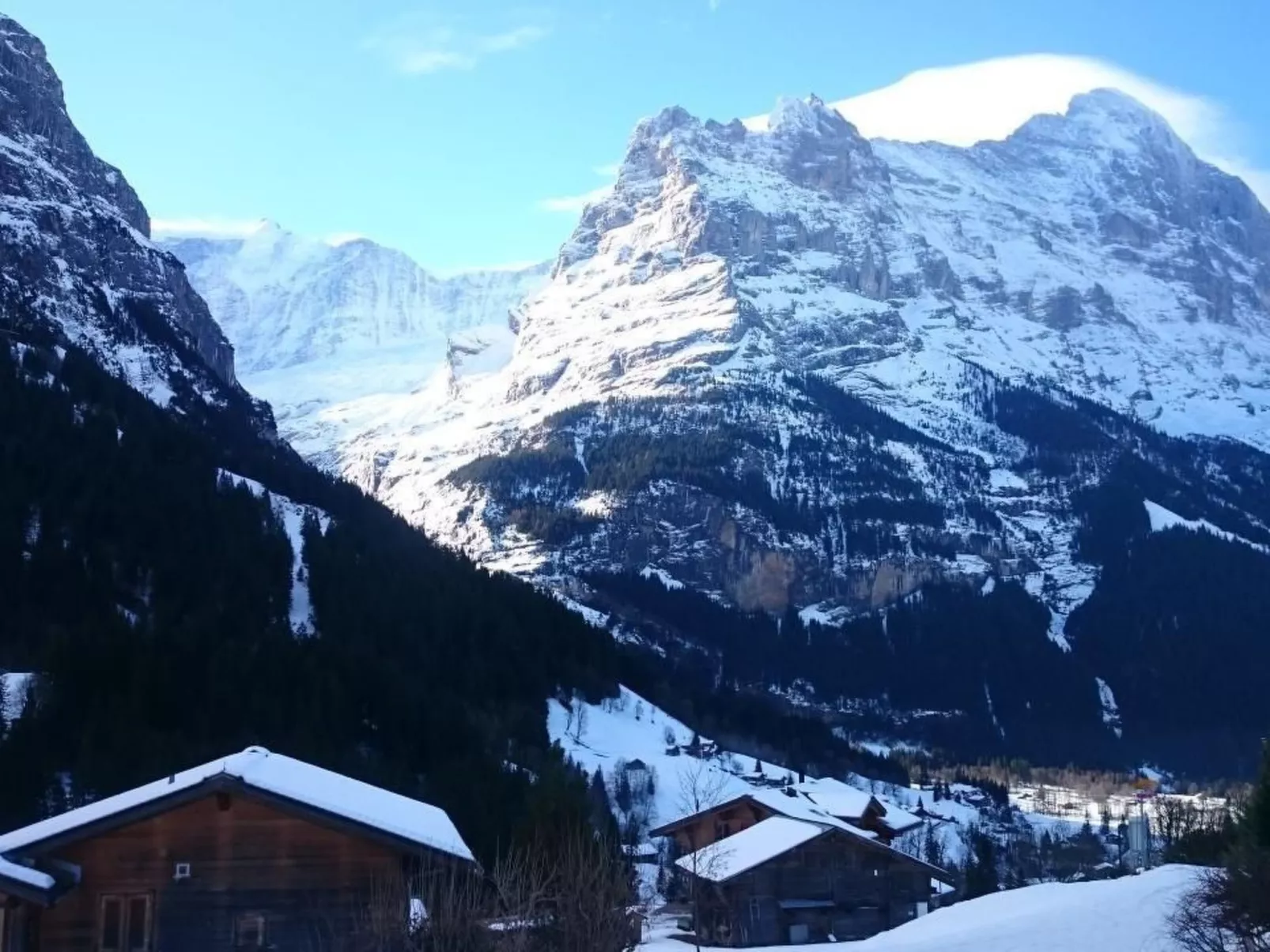 Ischblueme - Image-tags.info