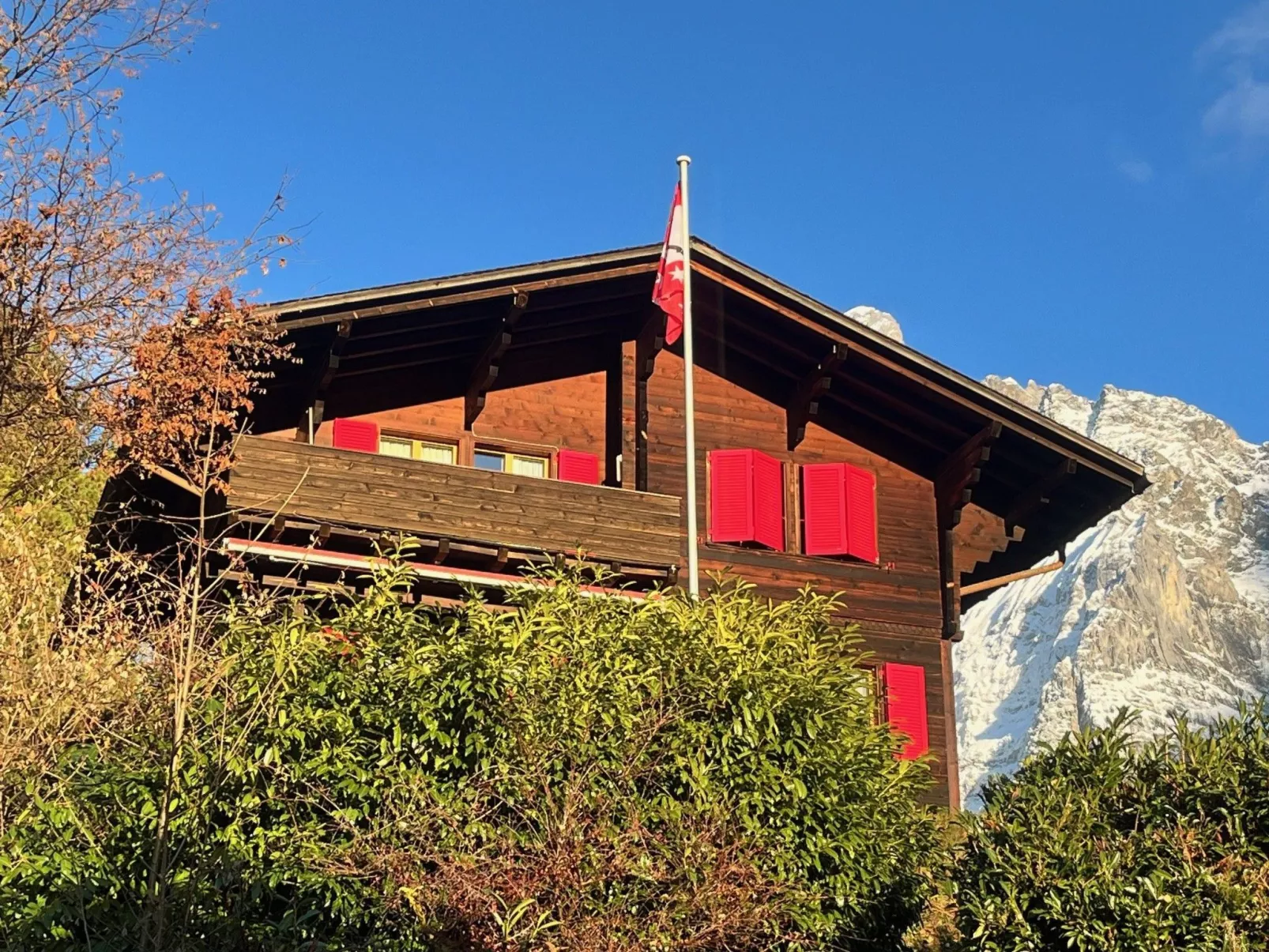 Ischblueme - Image-tags.info