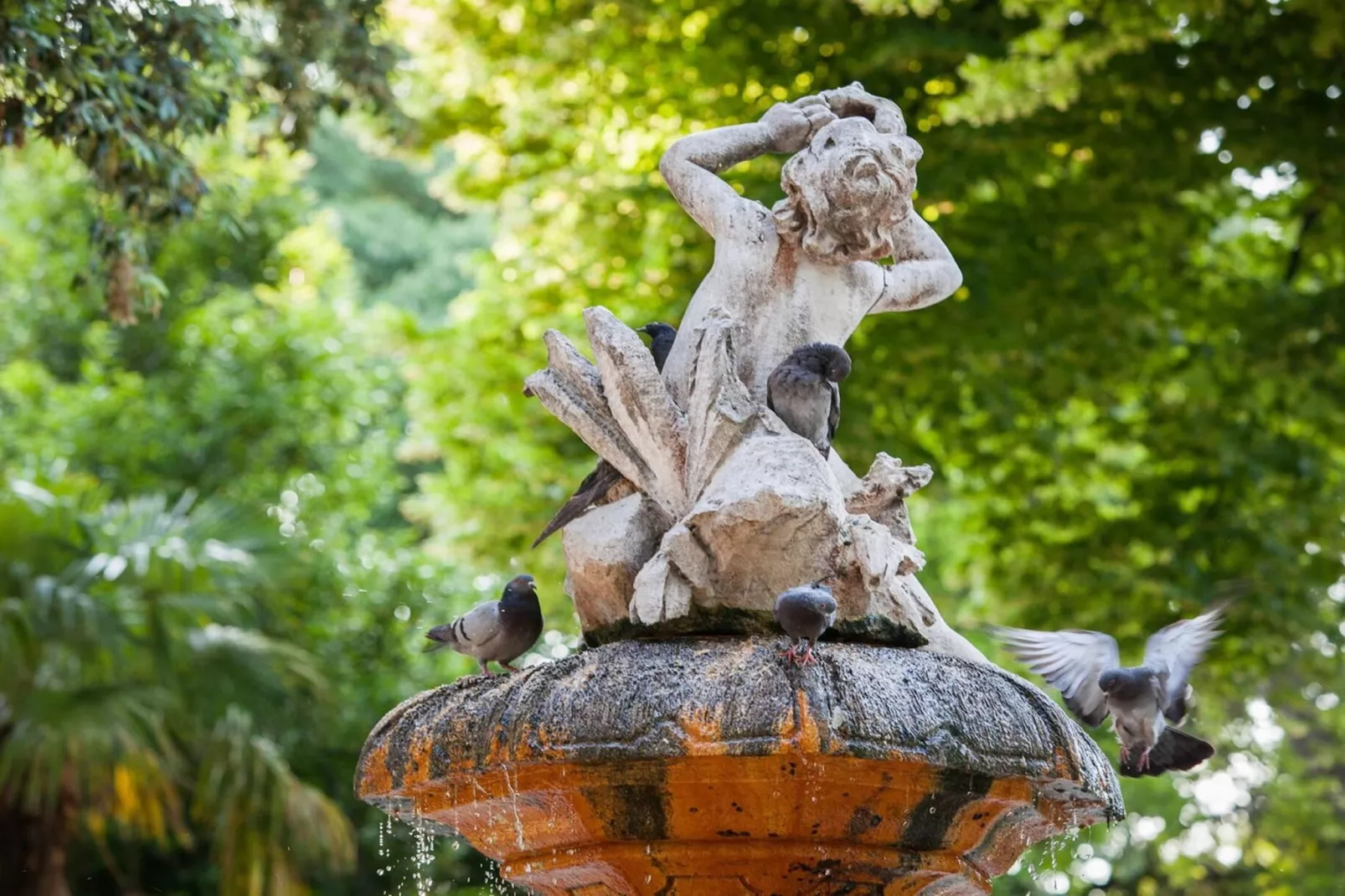 Split Diocletian Palace - Room 1 (2+1) - Gebieden zomer 5km