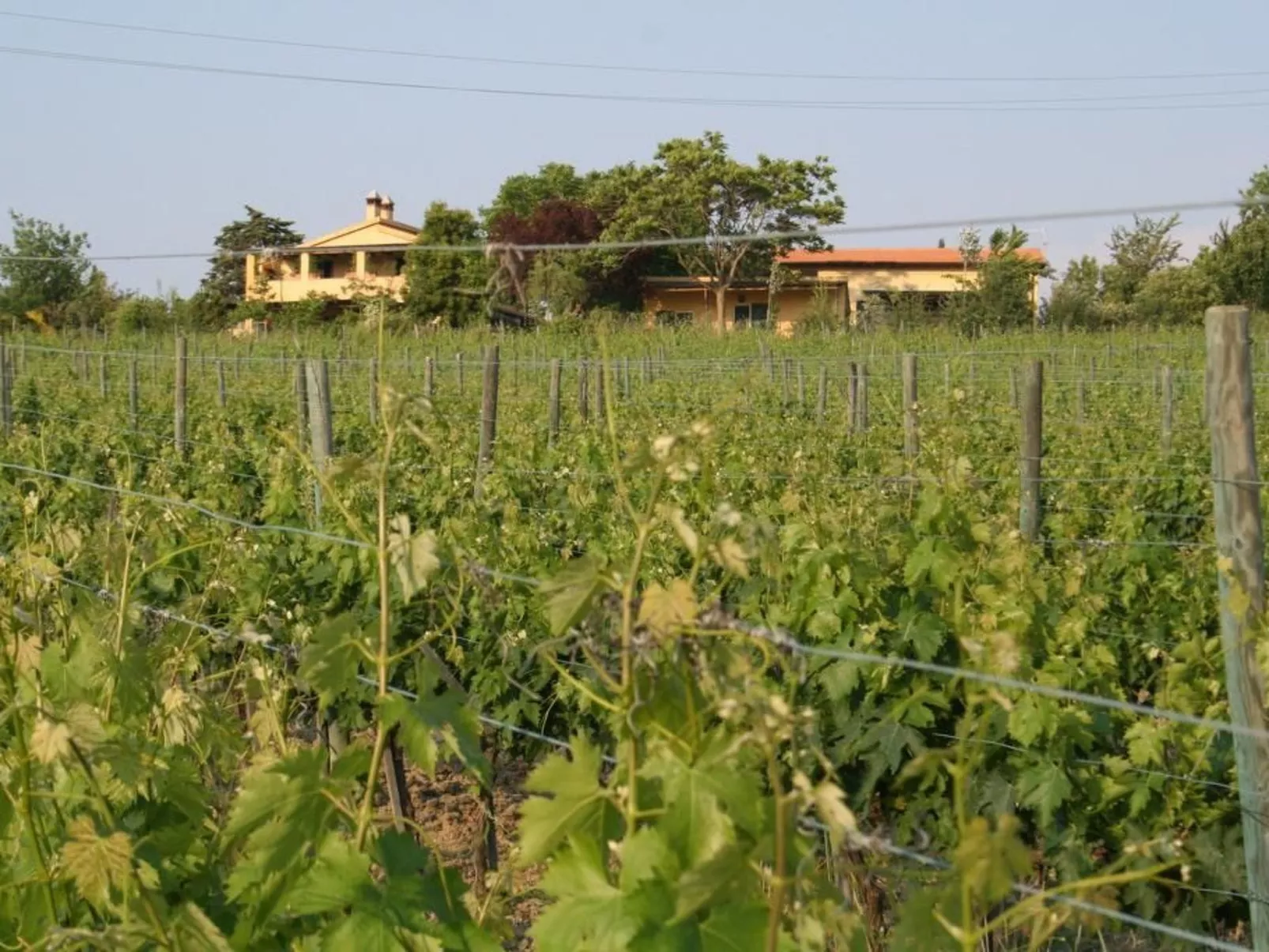 Haus in Manciano mit Terrasse, Garten und Grill - Image-tags.info