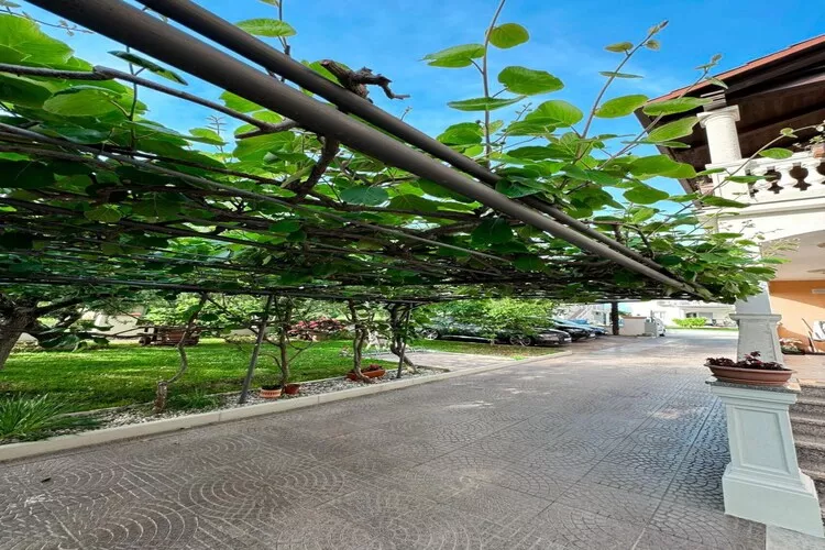 Premium Apartment Seaview - Gebieden zomer 1km