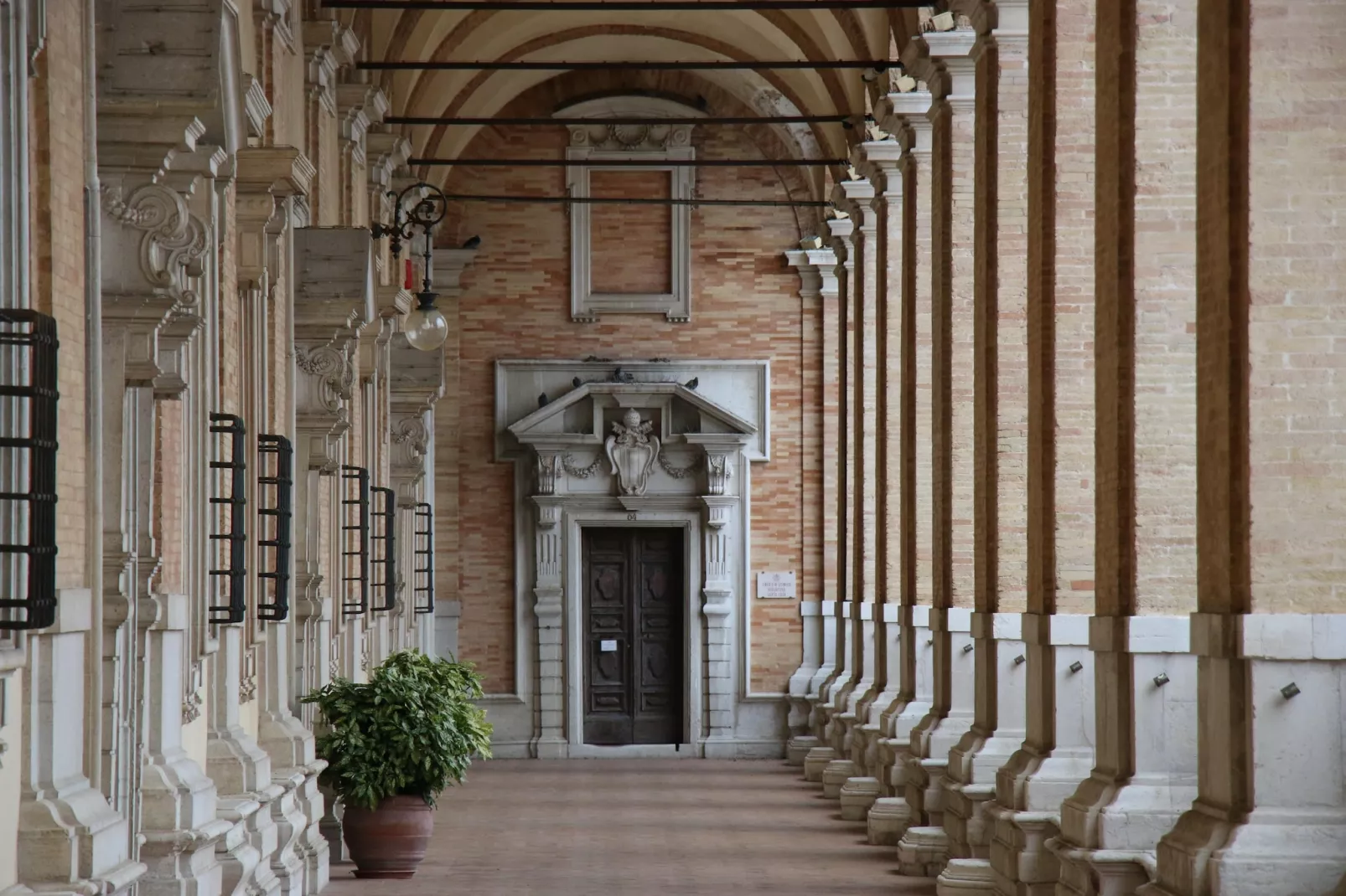 TRILO NOVELLA 2 - Gebieden zomer 20km