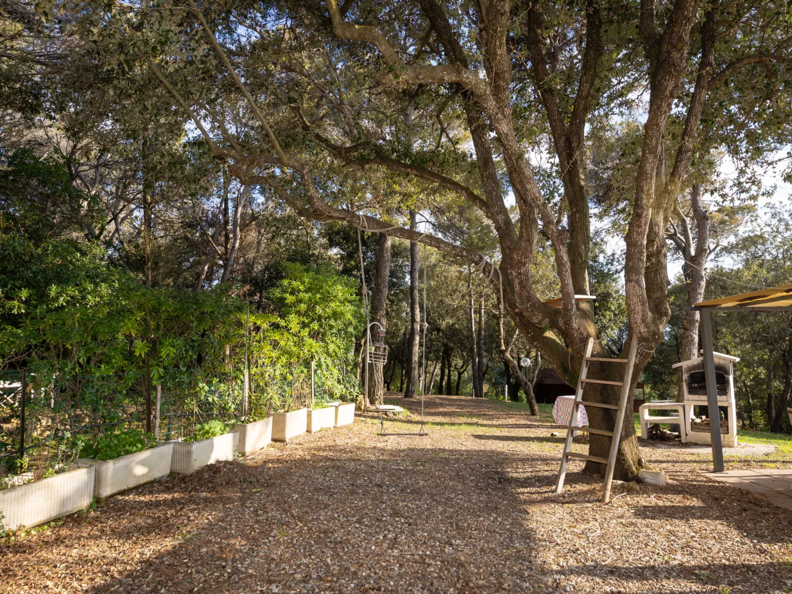 La casetta immersa nel verde - Buiten