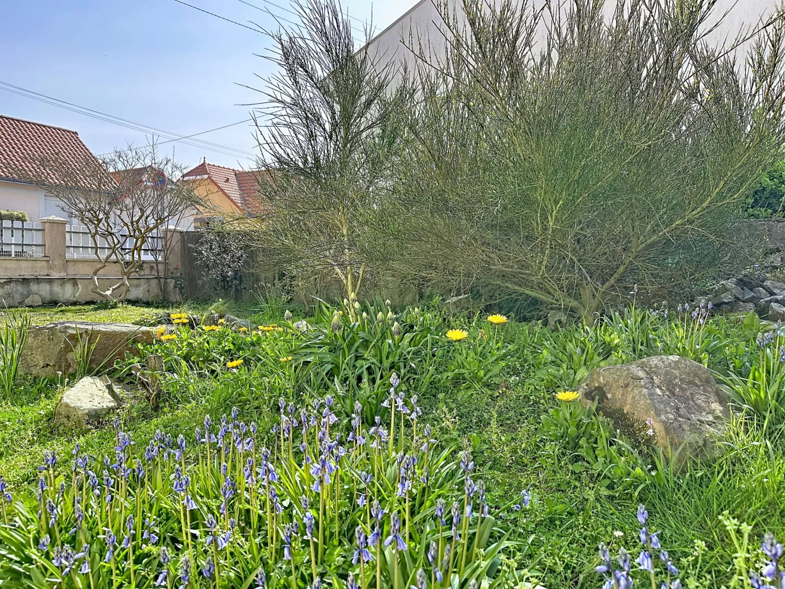 La Rose des Pins - Buiten