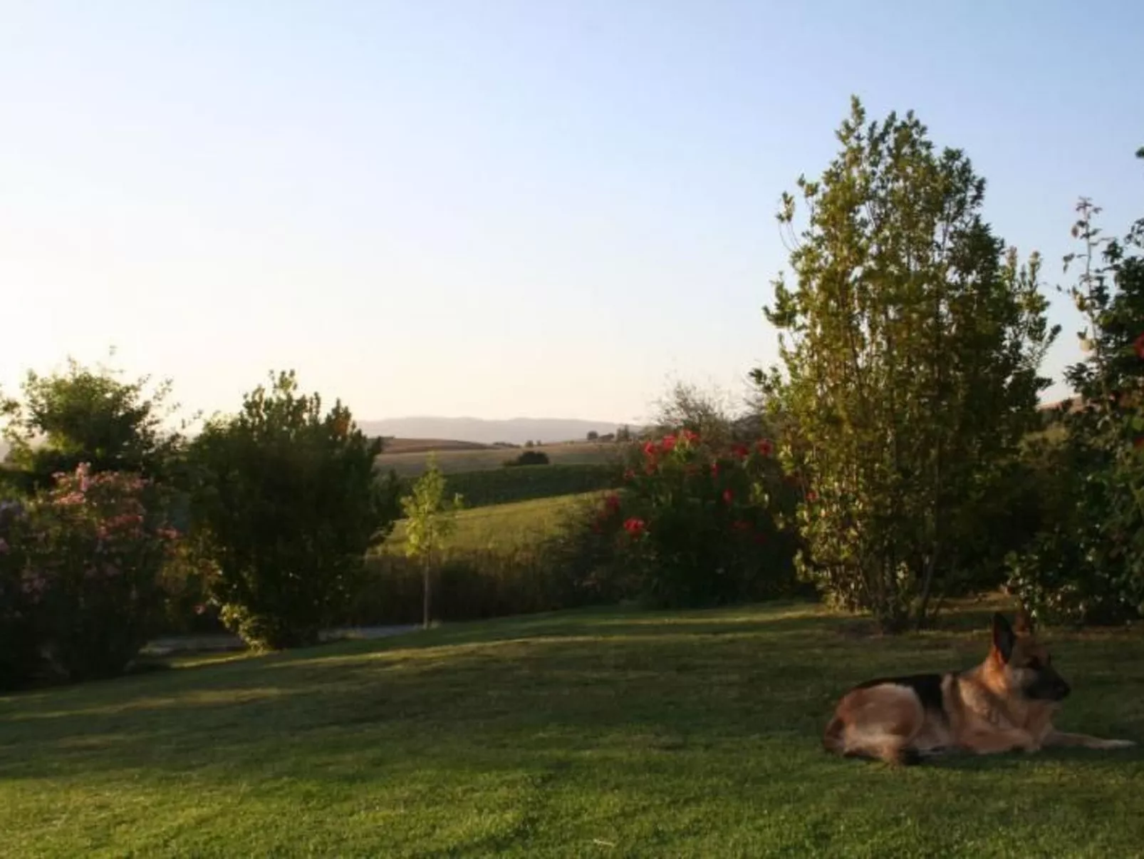 Haus mit Gartenblick - Image-tags.info