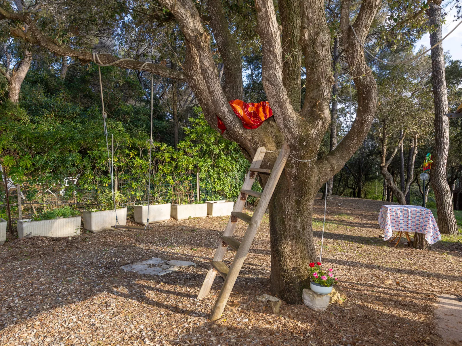 La casetta immersa nel verde - Buiten