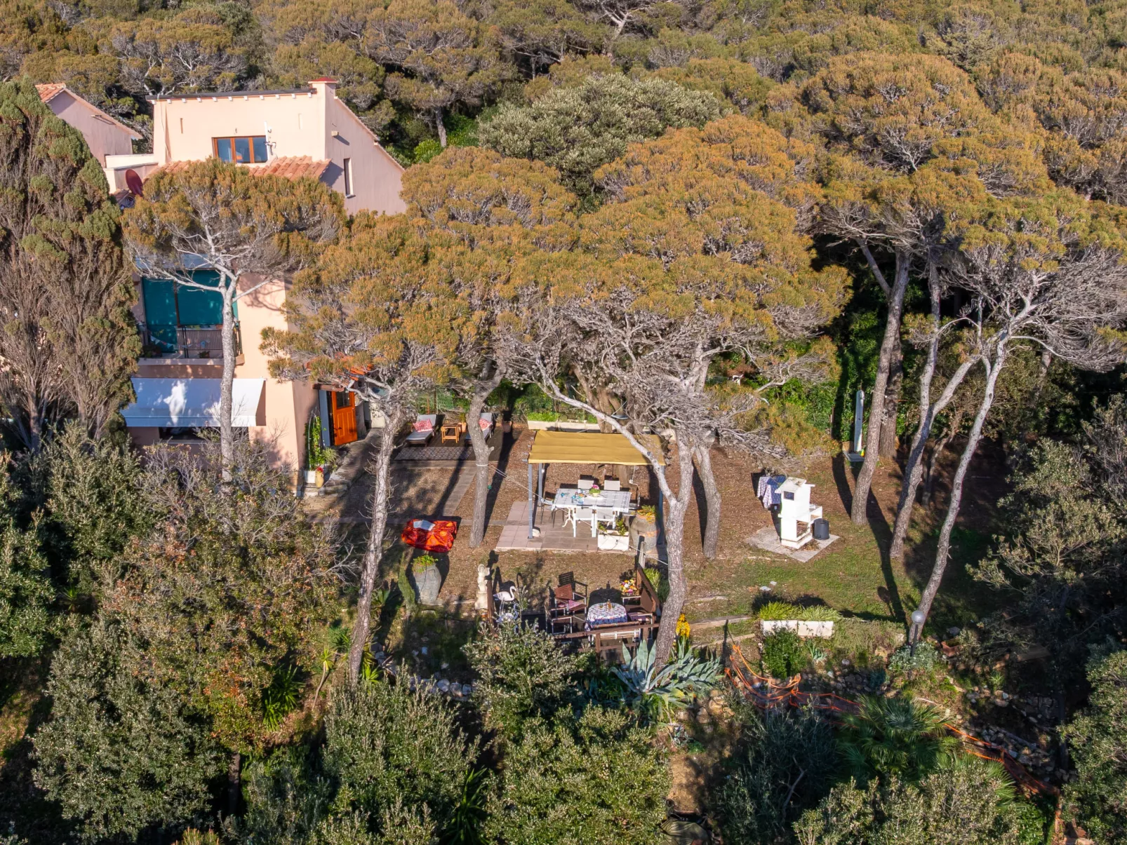La casetta immersa nel verde - Buiten