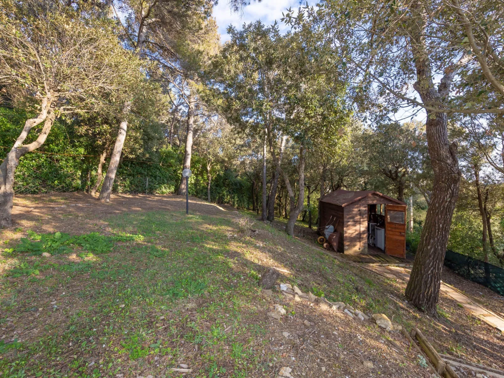 La casetta immersa nel verde - Buiten