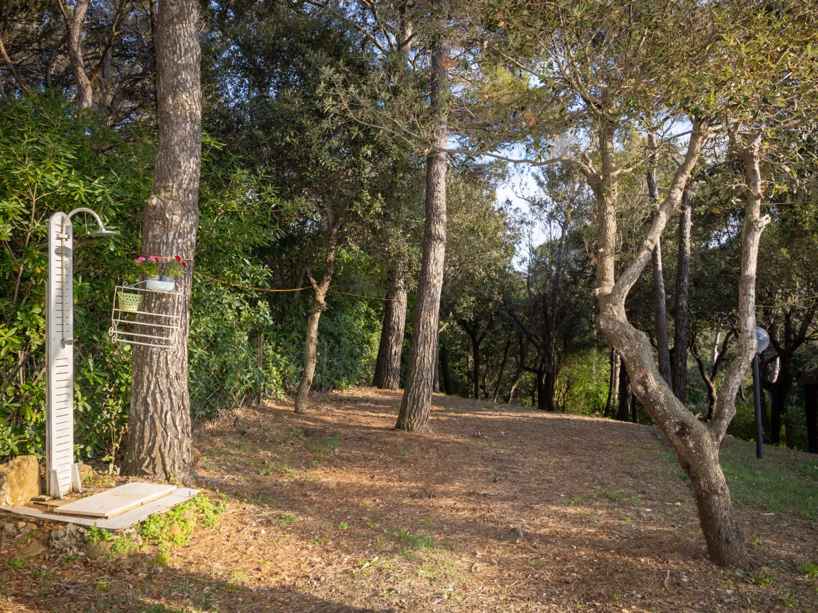 La casetta immersa nel verde - Buiten