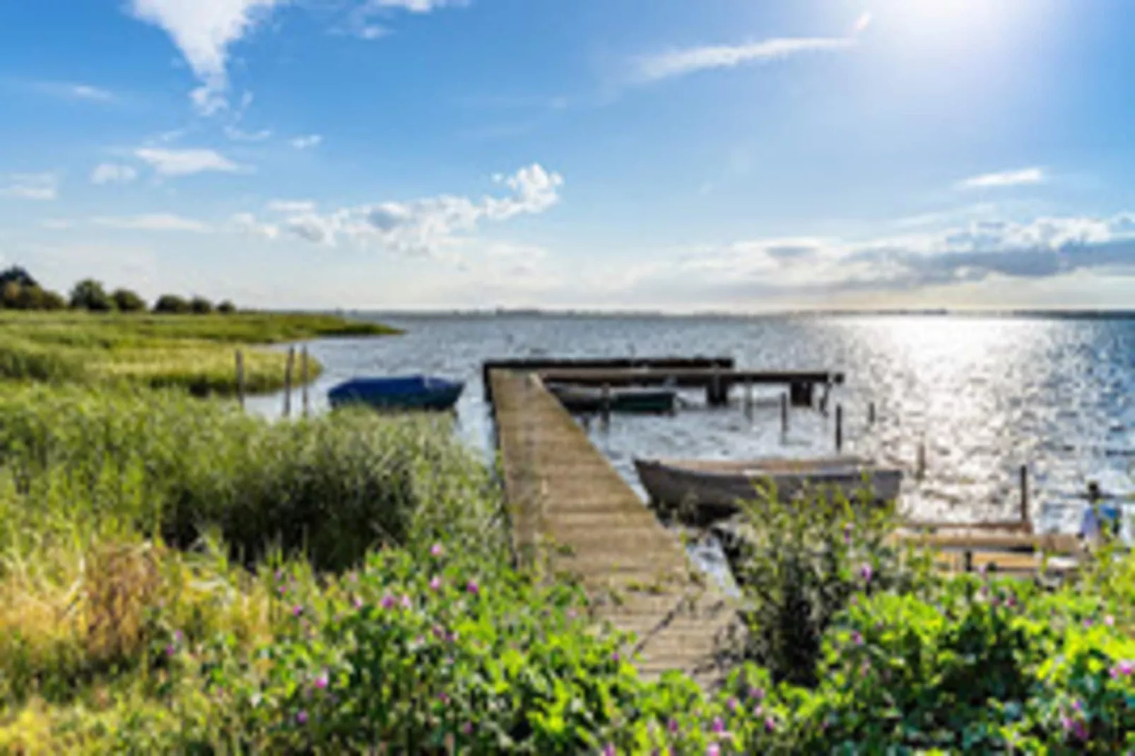 Ferienhaus Lotsenhaus Vieregge - Gebieden zomer 5km