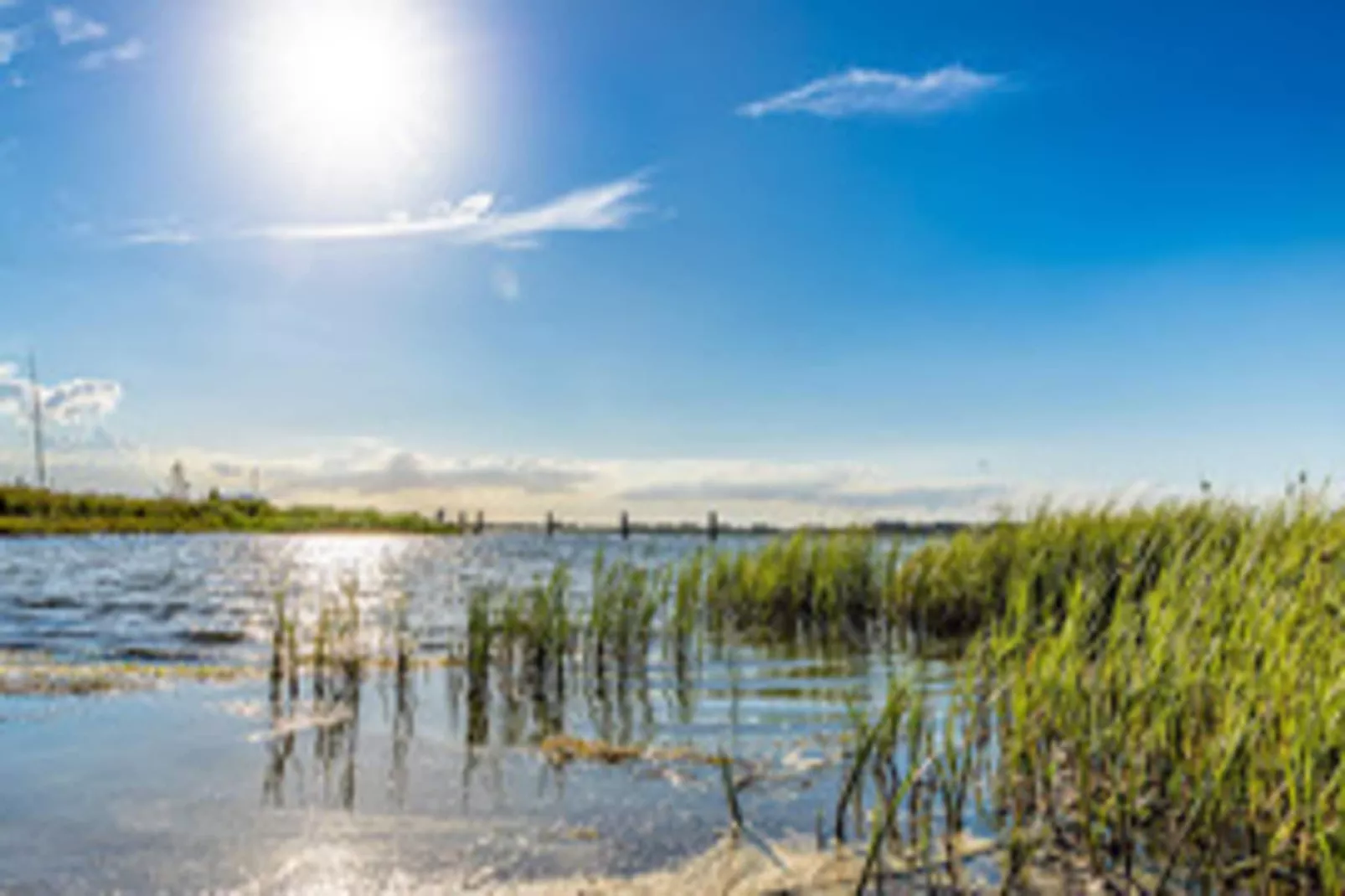 Ferienhaus Lotsenhaus Vieregge - Gebieden zomer 5km