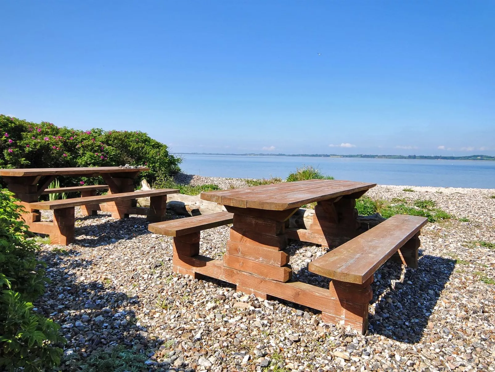 "Eloise" - 50m to the fjord