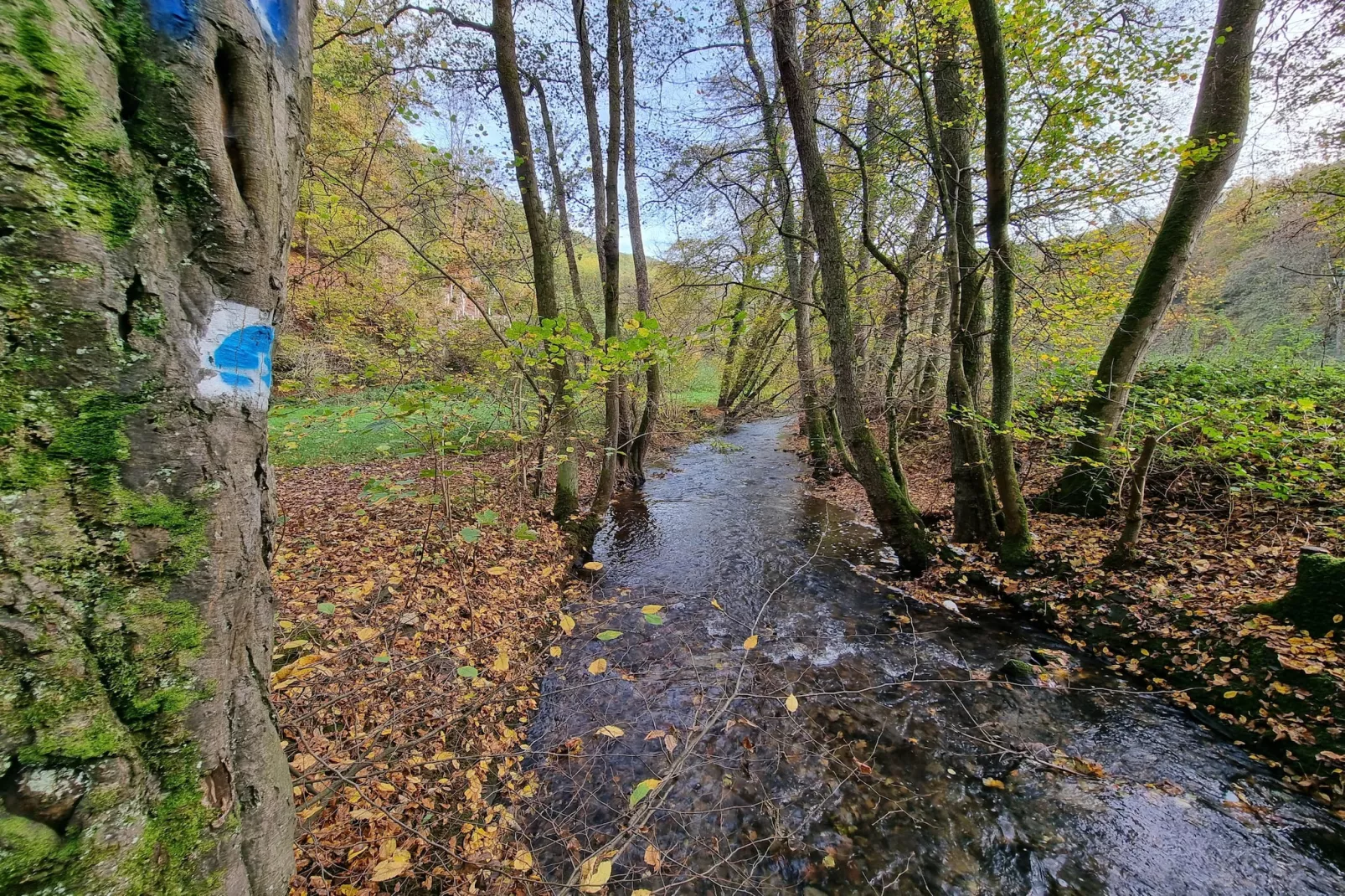 Single Room - Gebieden zomer 5km