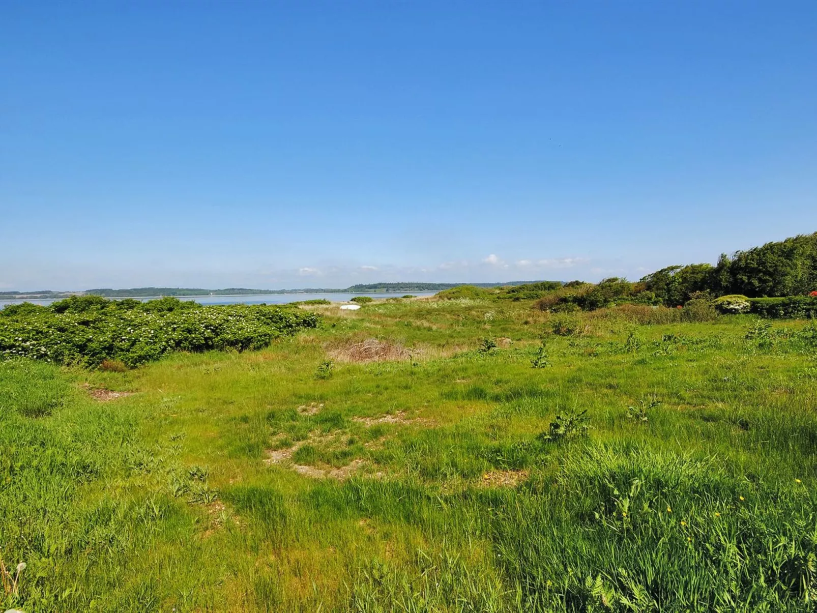 "Eloise" - 50m to the fjord - Buiten