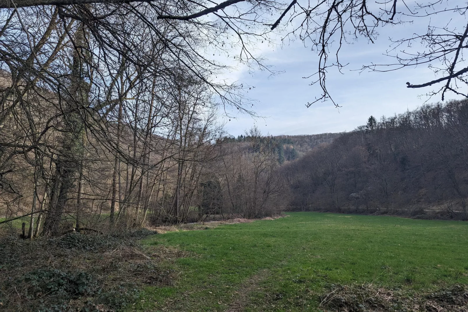 Single Room - Gebieden zomer 5km