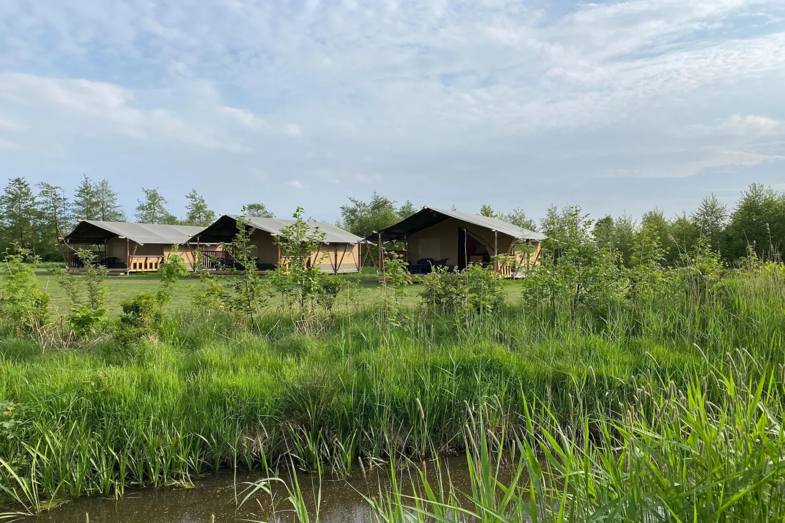 Luxe glamping met badkamer 2 - Buitenkant zomer
