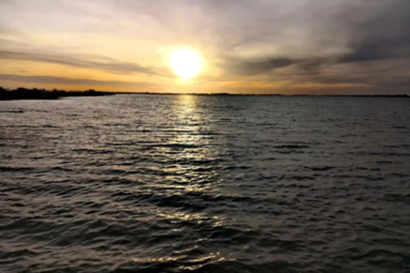 Ferienhaus Lotsenhaus Vieregge - Gebieden zomer 5km
