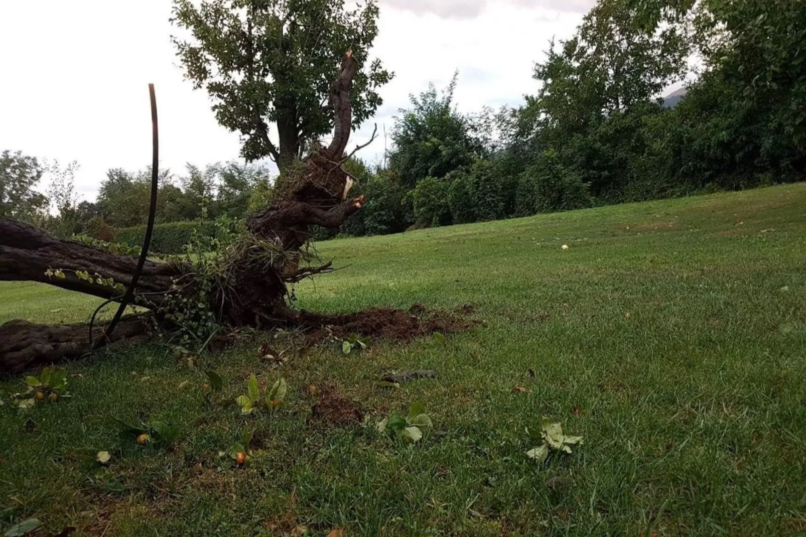 Budget Double Room - Gebieden zomer 5km