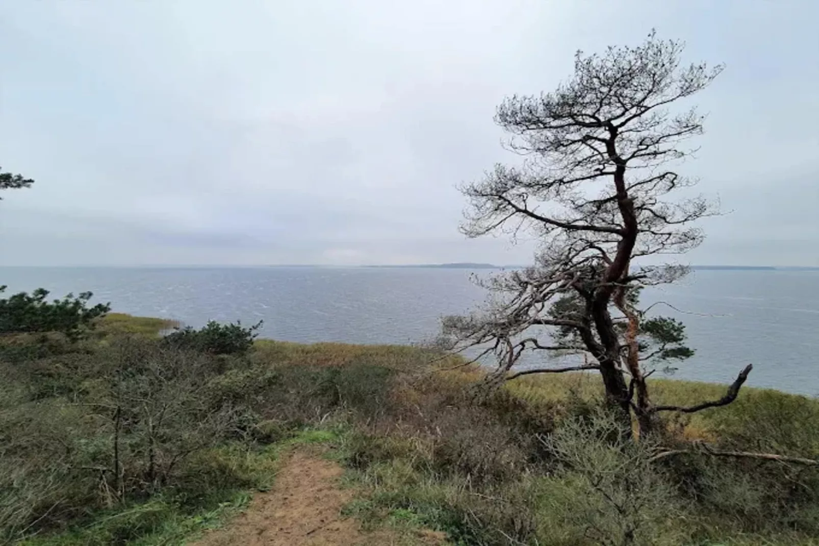 Appartement 5 - Gebieden zomer 1km