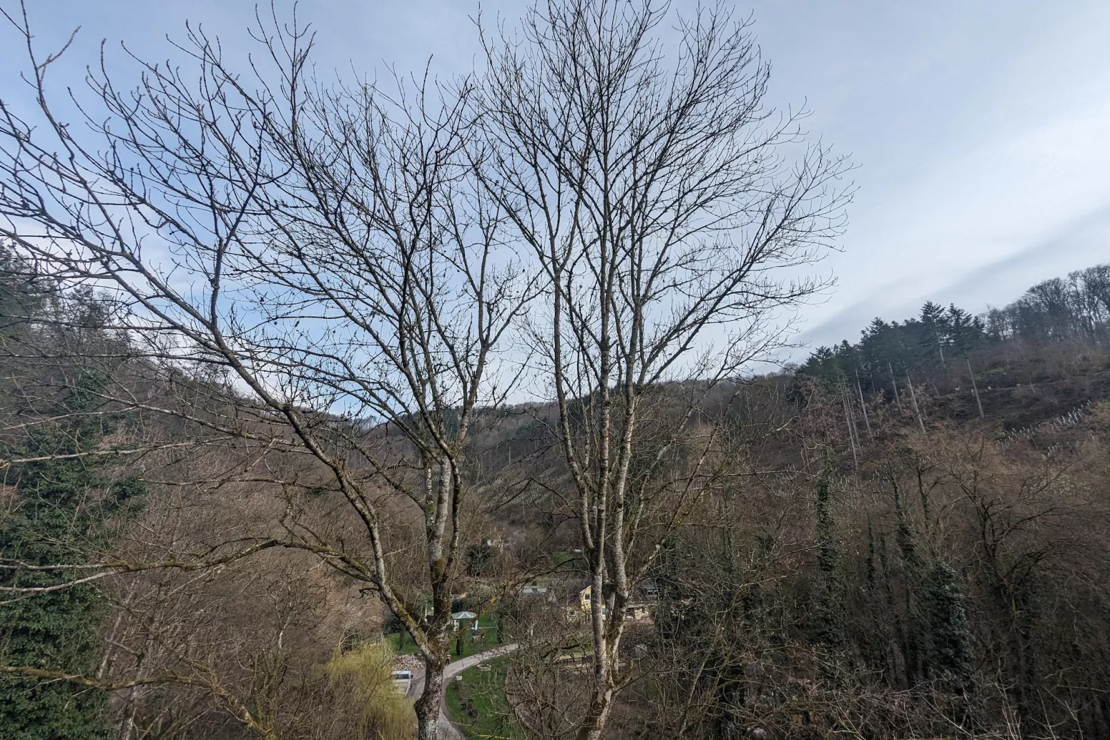 Double Room with Extra Bed - Gebieden zomer 5km