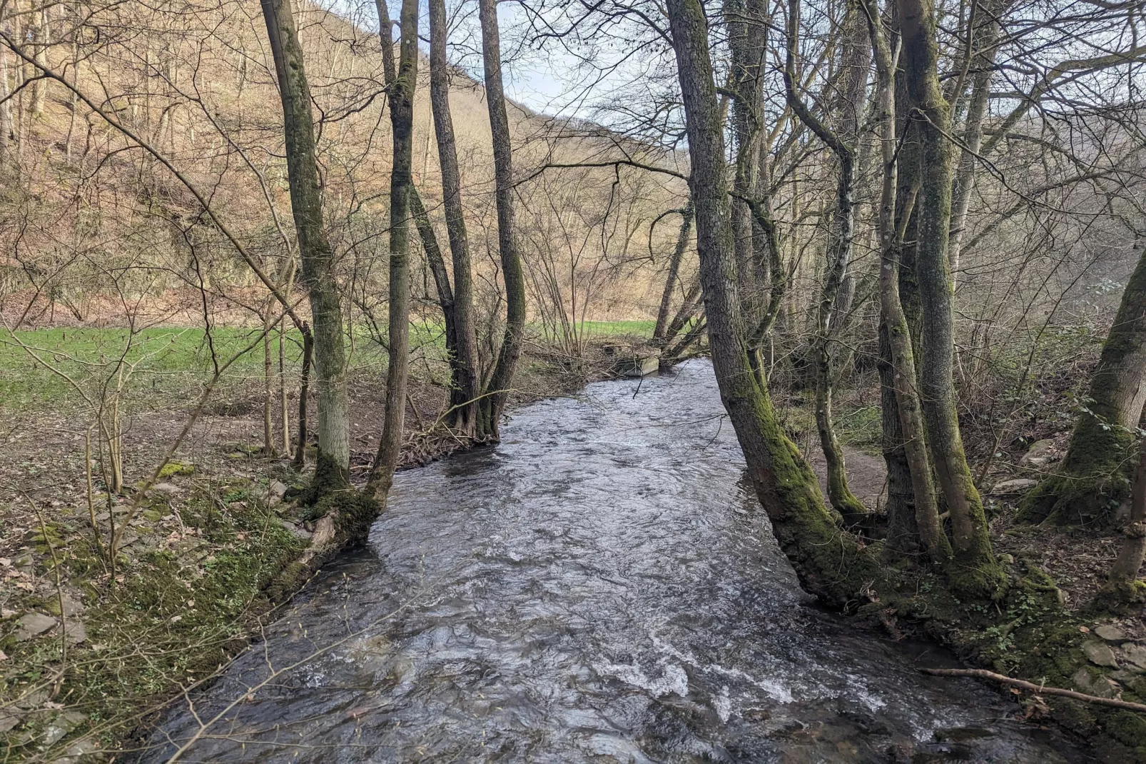 Budget Double Room - Gebieden zomer 5km