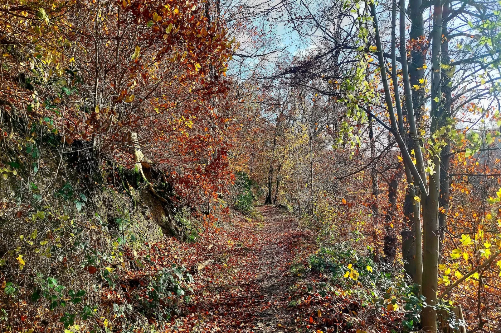 Double Room with Balcony - Gebieden zomer 5km