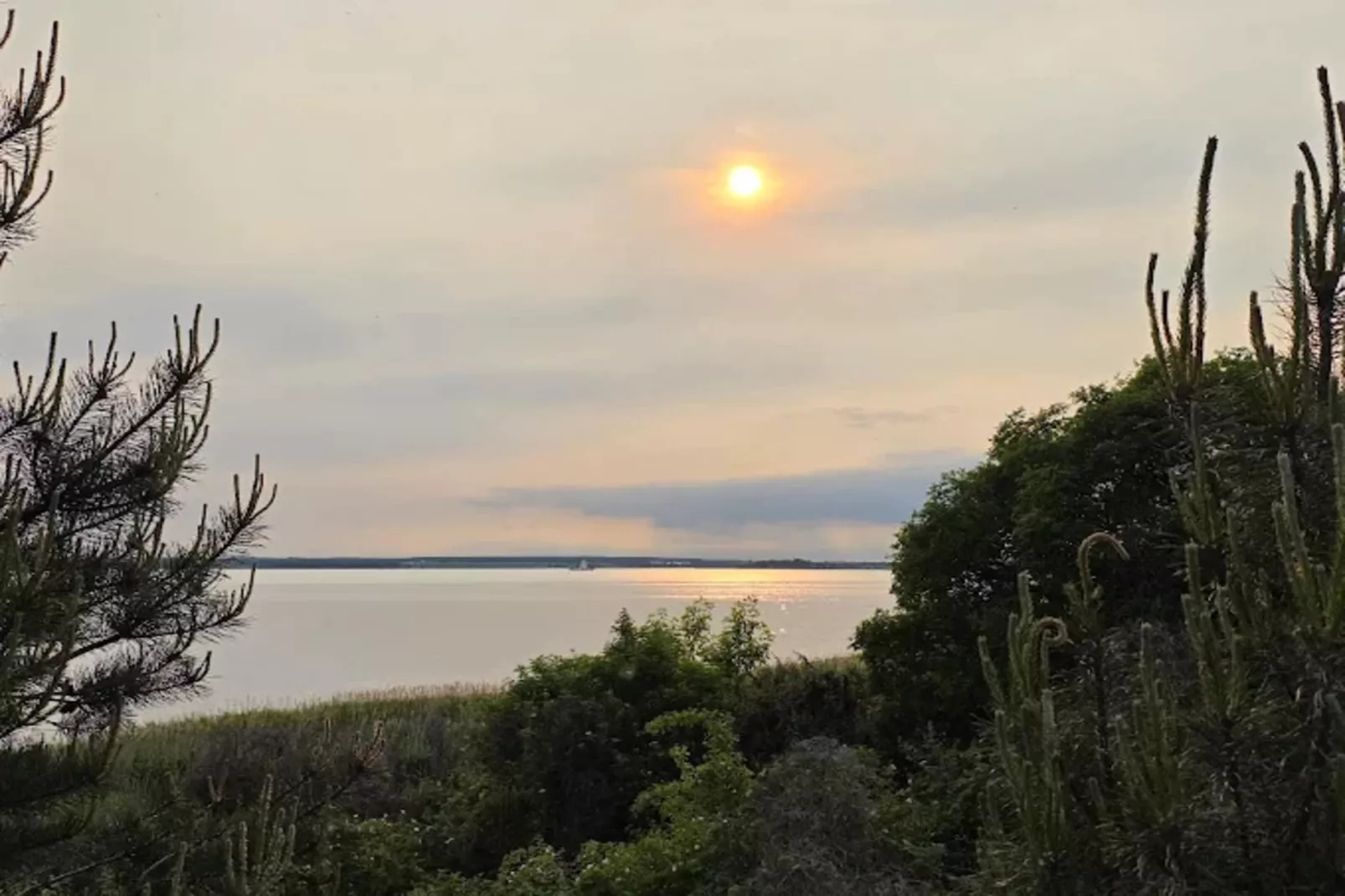 Appartement 5 - Gebieden zomer 1km