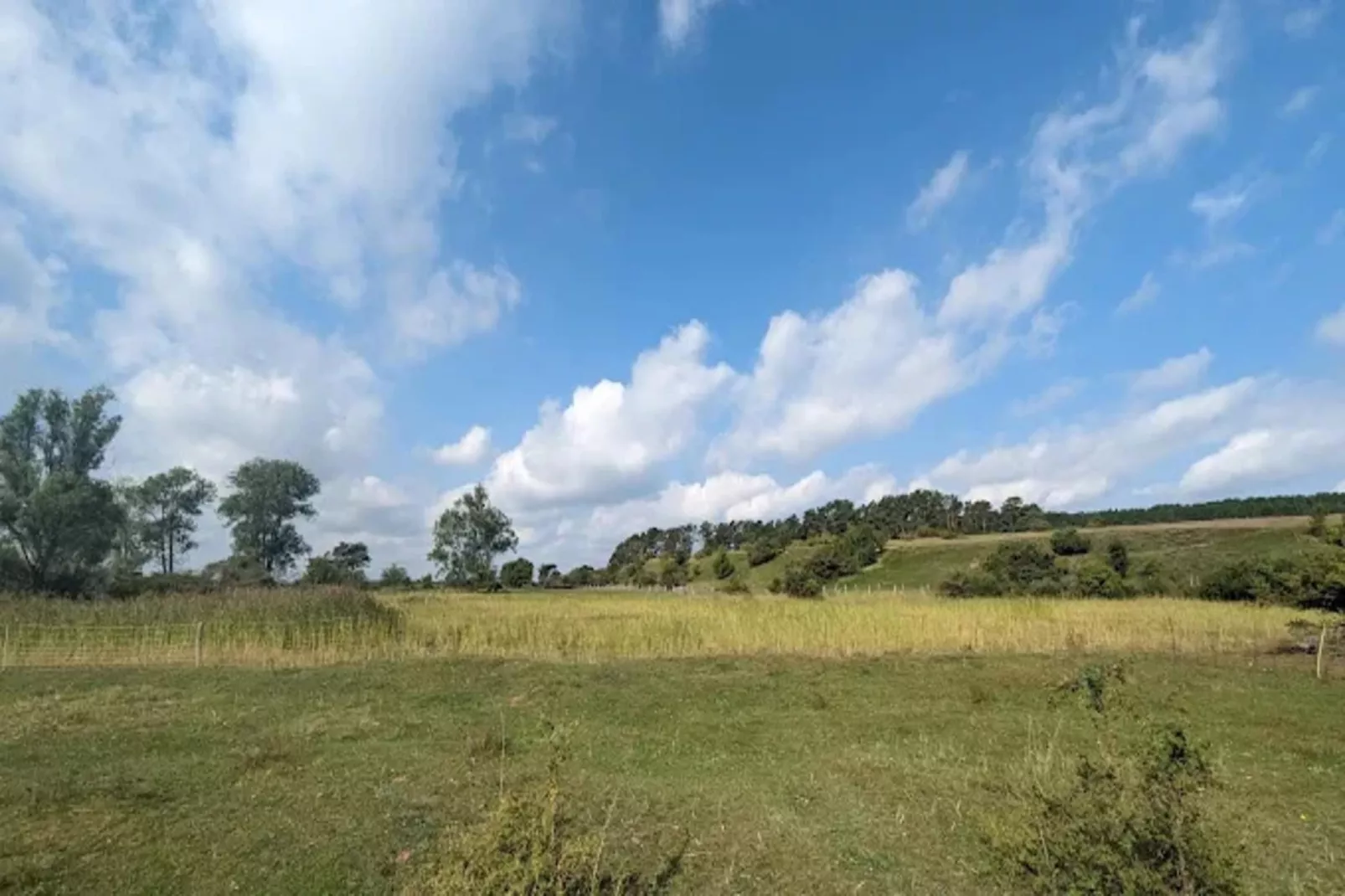 Appartement 5 - Gebieden zomer 1km