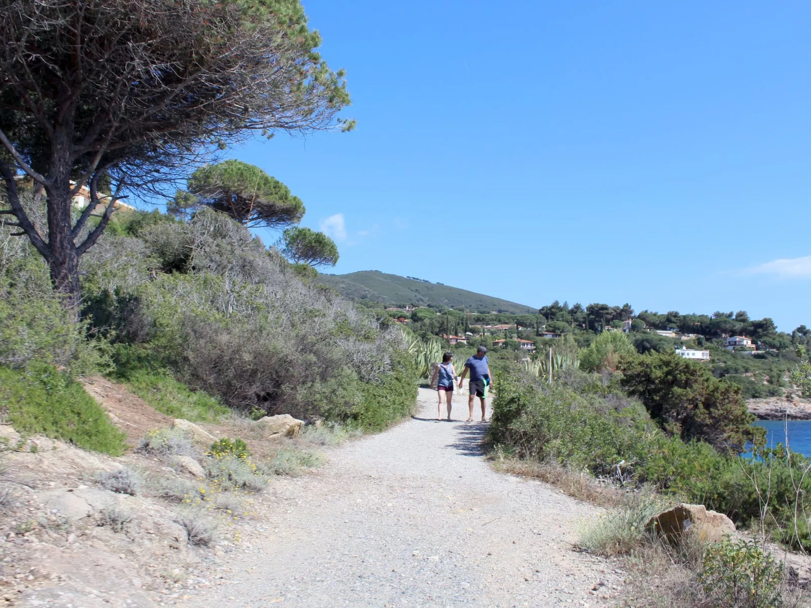 Mit Wasserblick - Image-tags.info