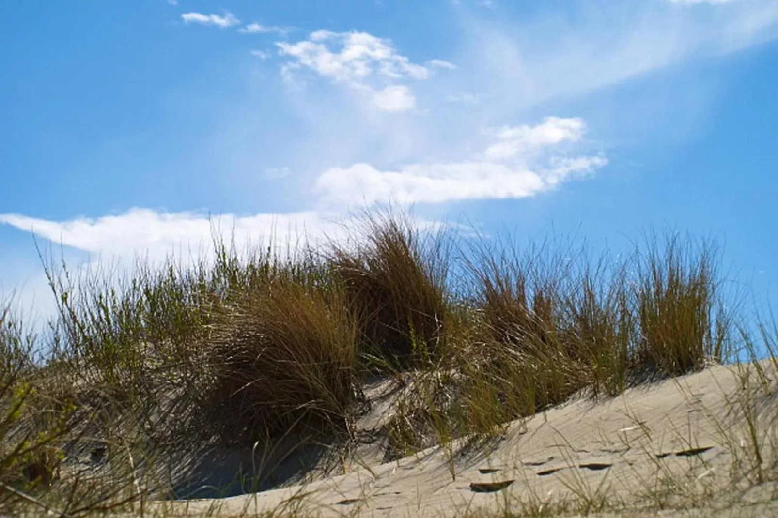 Doppelhaus in Oldsum auf Föhr-Haus 1 - Gebieden zomer 1km
