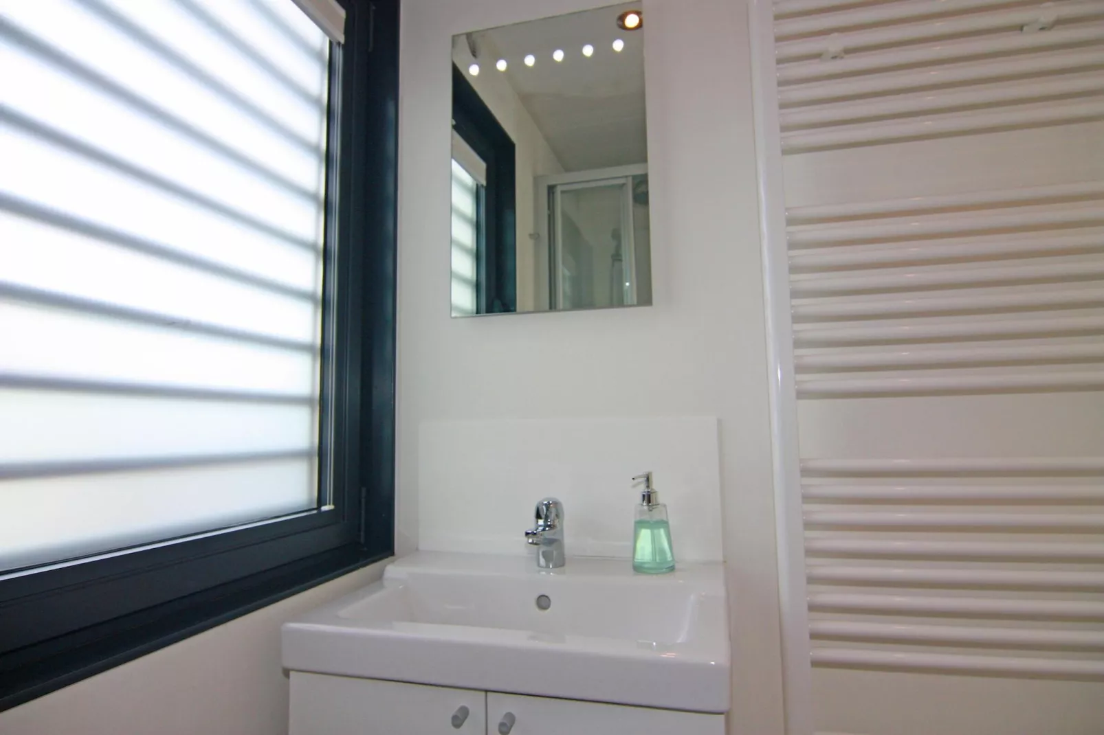 Houseboat Floating Houses Blue Active, Ribnitz-Damgarten-Blue Active - Badkamer