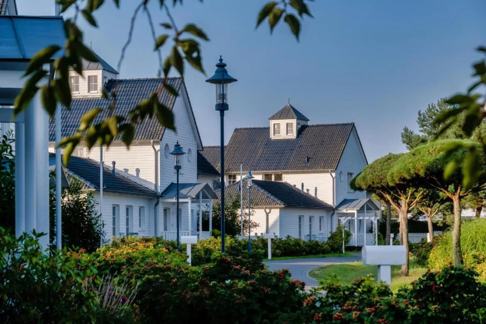 Studio - Gebieden zomer 1km