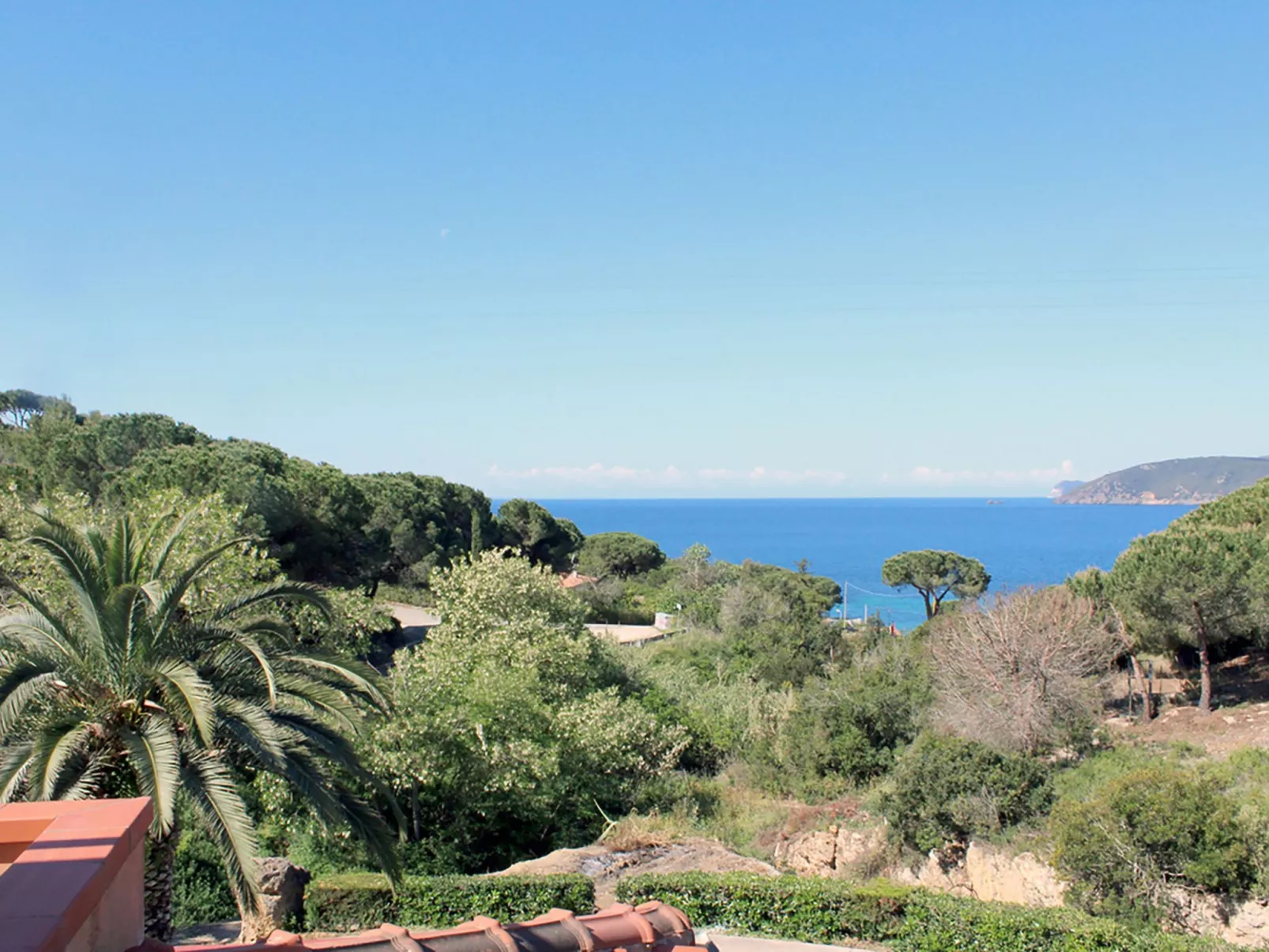 Mit Wasserblick - Image-tags.info