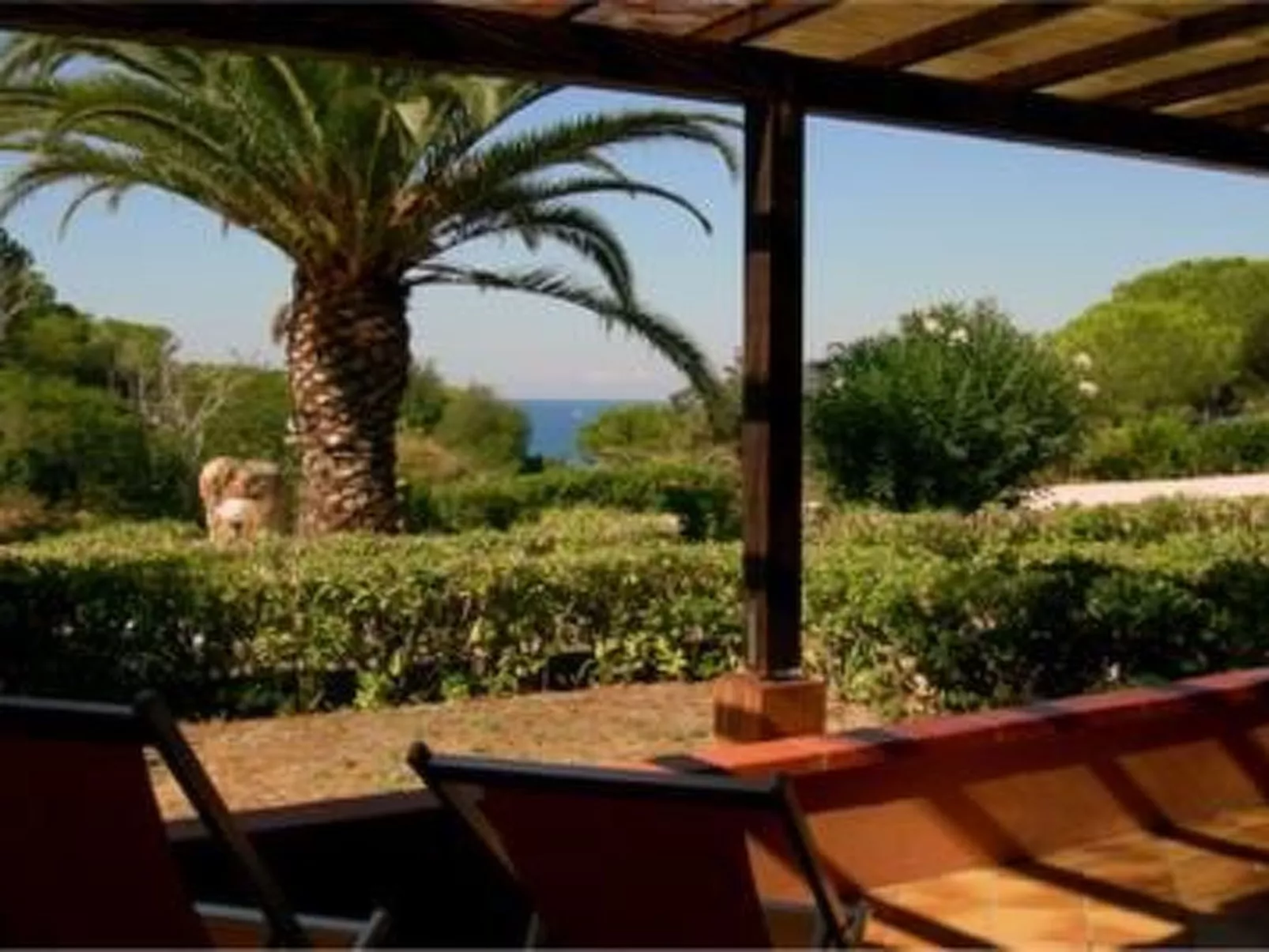 Mit Wasserblick - Image-tags.info