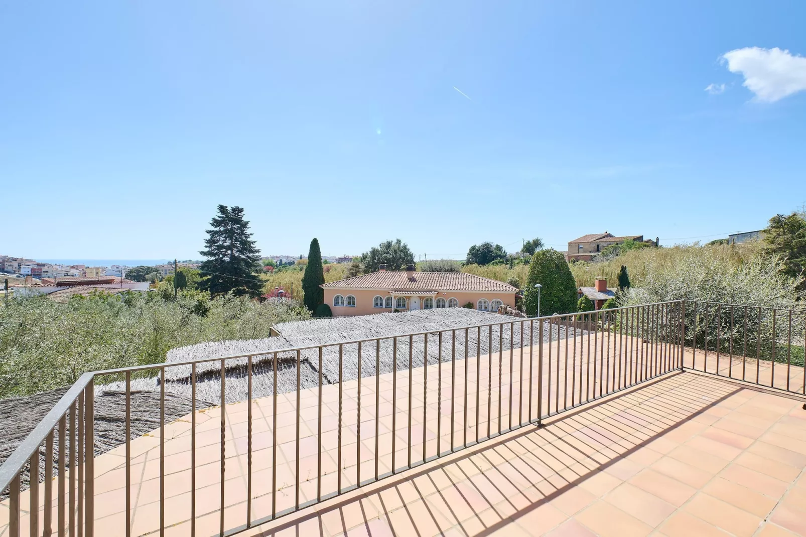 Francina - Uitzicht zomer