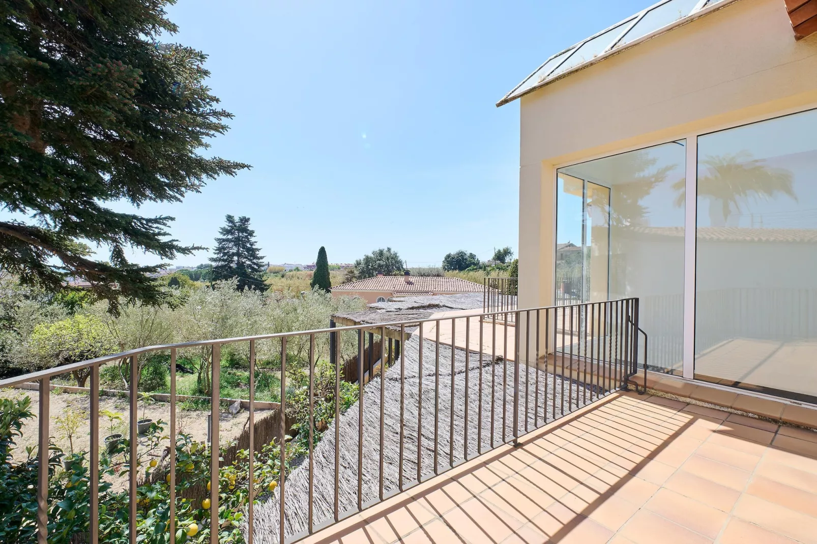 Francina - Uitzicht zomer