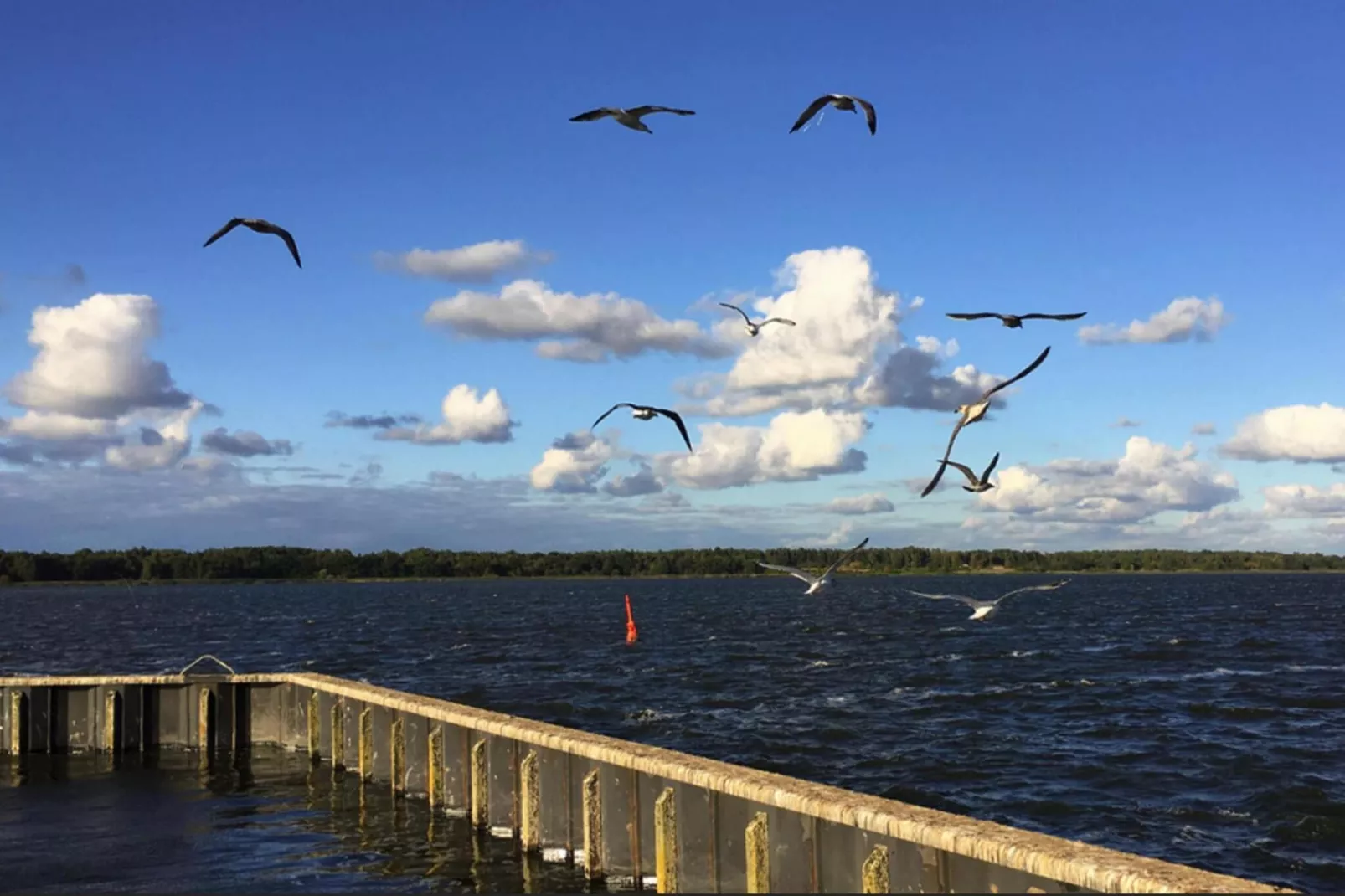 Houseboat Floating Houses Blue Active, Ribnitz-Damgarten-Blue Active - Waterzicht