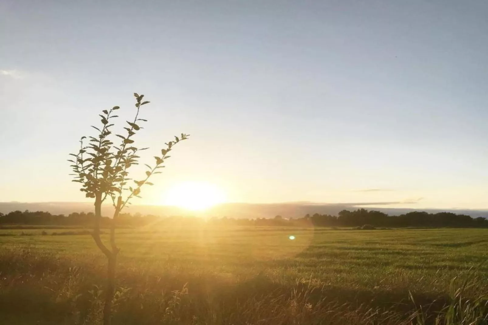 Luxe glamping met badkamer 2 - Gebieden zomer 20km