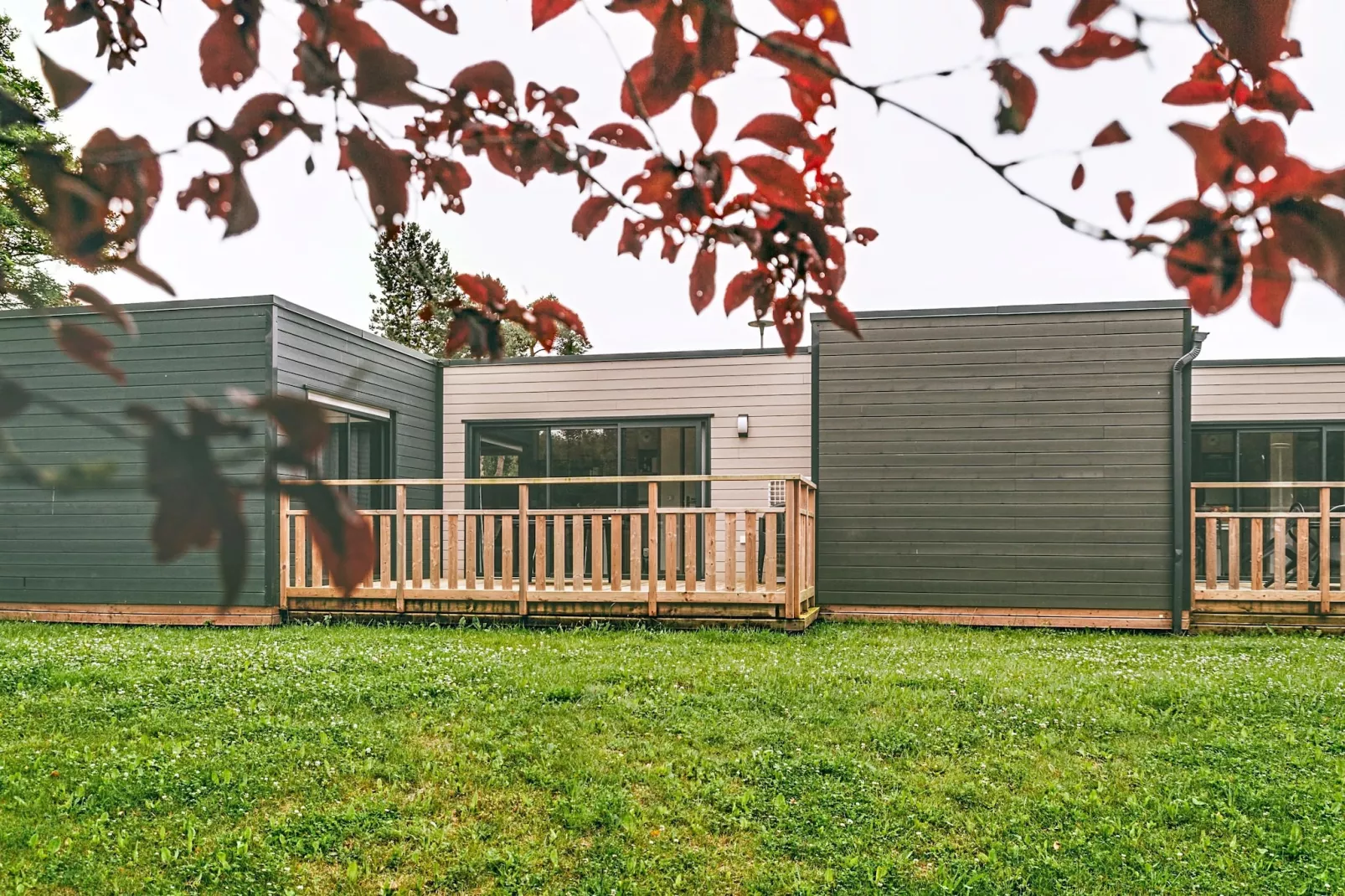 Cottage 3 pièces PMR - 4 pers - Gebied winter 1km