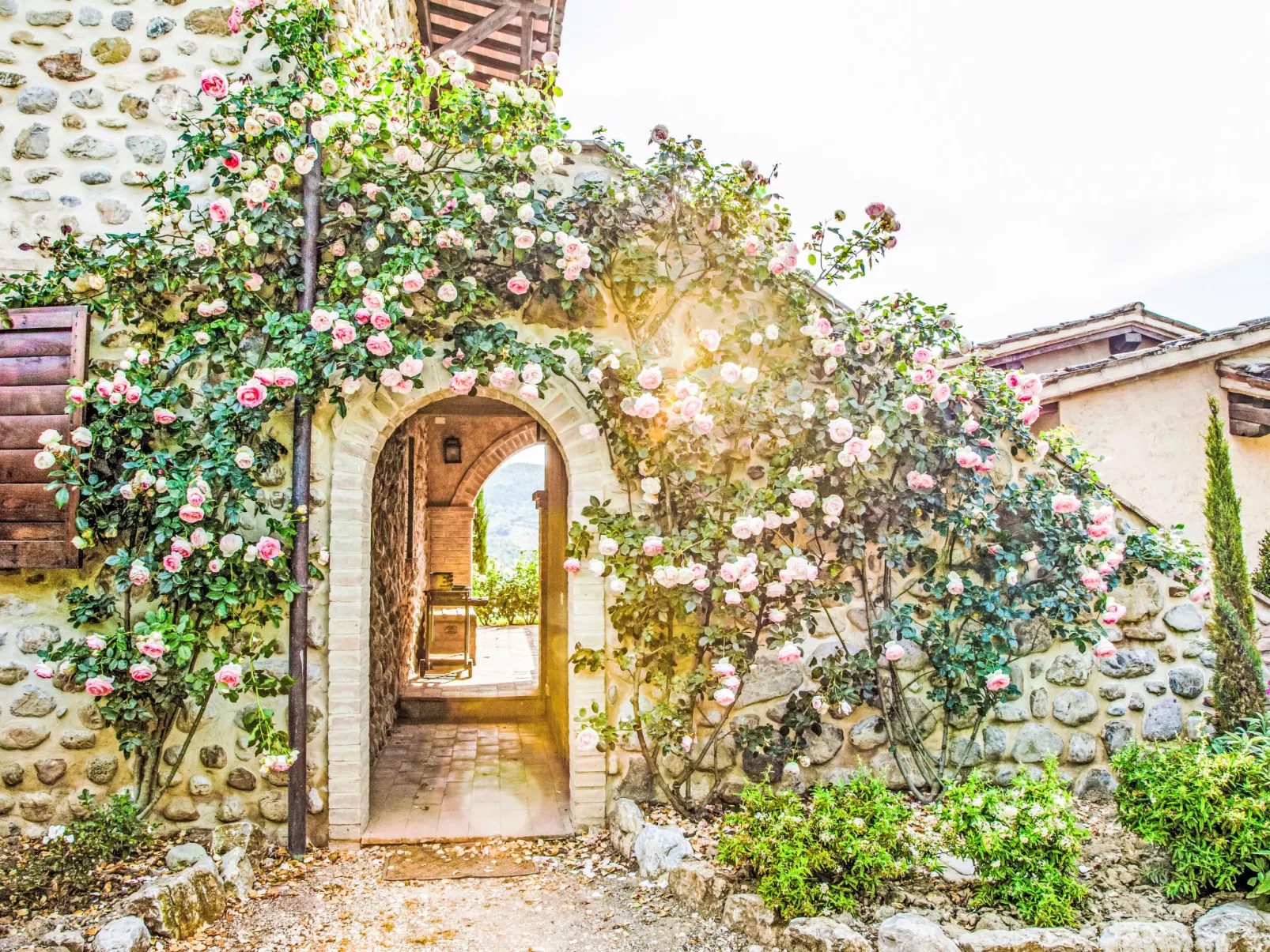 Agriturismo Belvedere delle Crete - Buiten