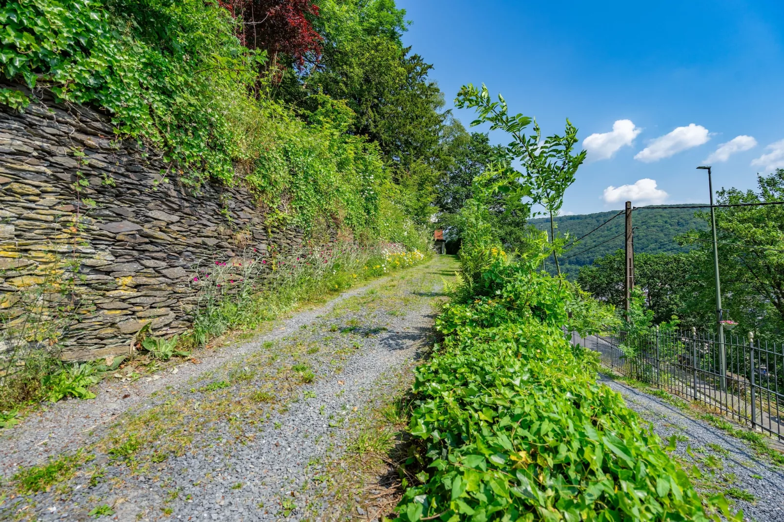 Chateau Constance 12 pax - Tuinen zomer